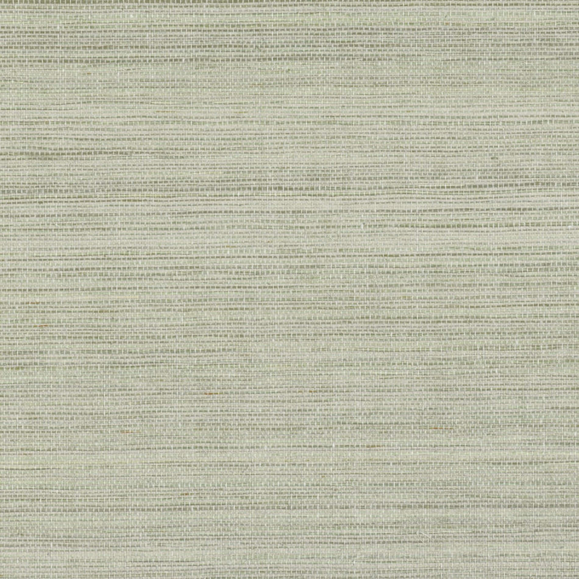 Structuurtapijt van plantaardige vezels PICTA - PIERRE BLEUE salie