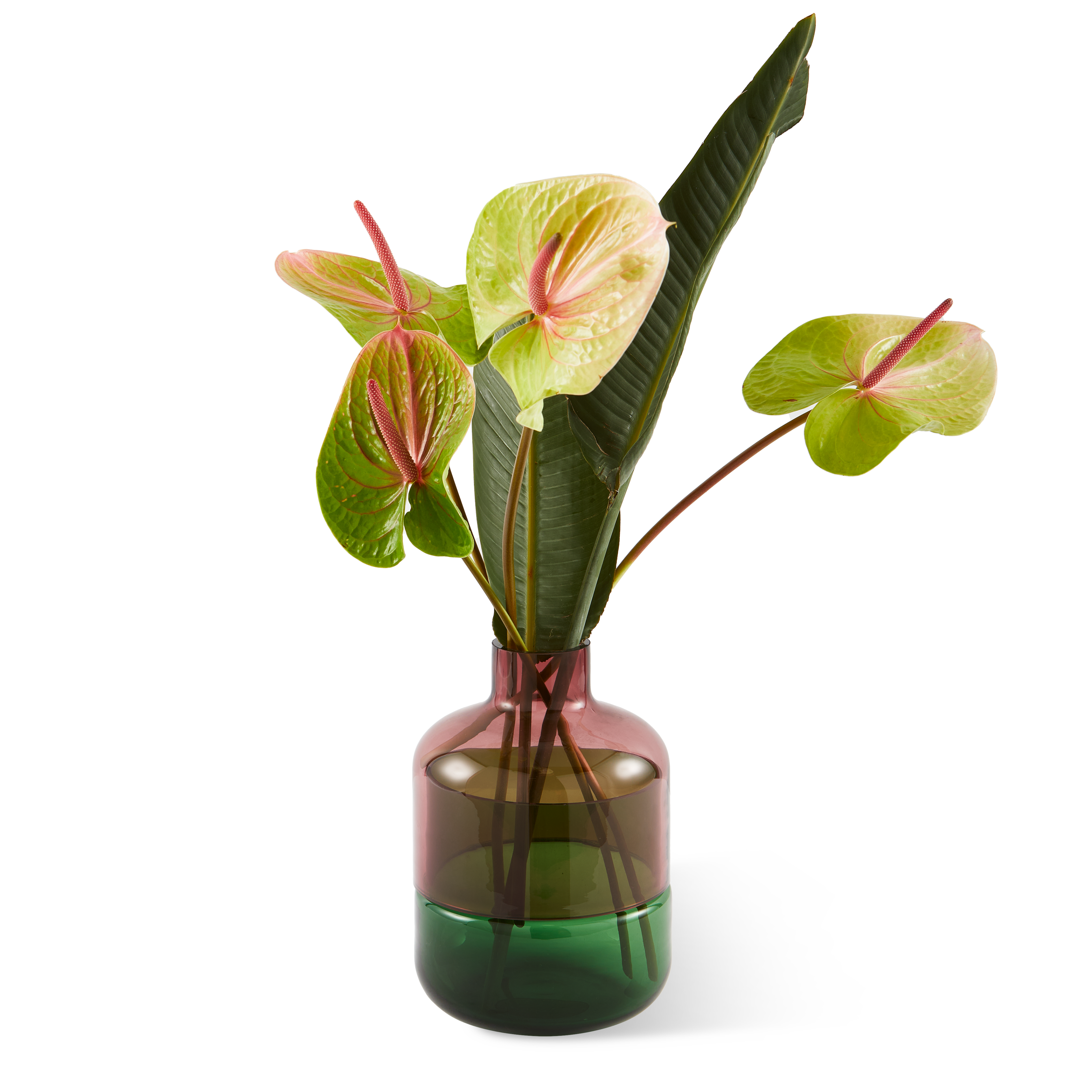 Glass vase FORMY pink with green