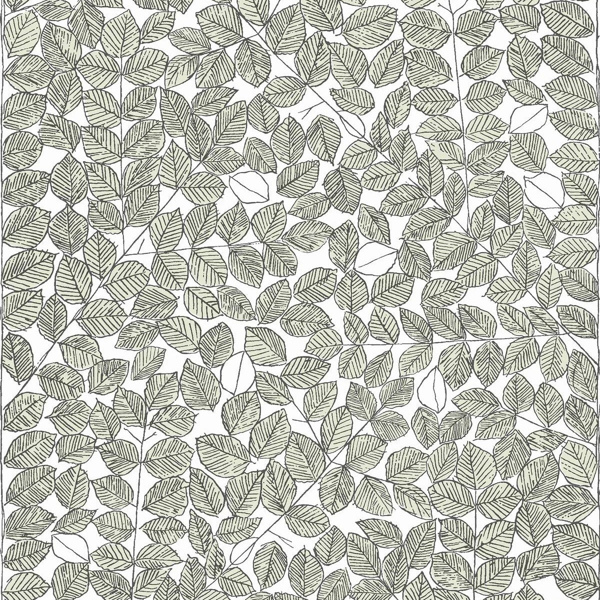 ROMANS Green Leaf Pattern Wallpaper