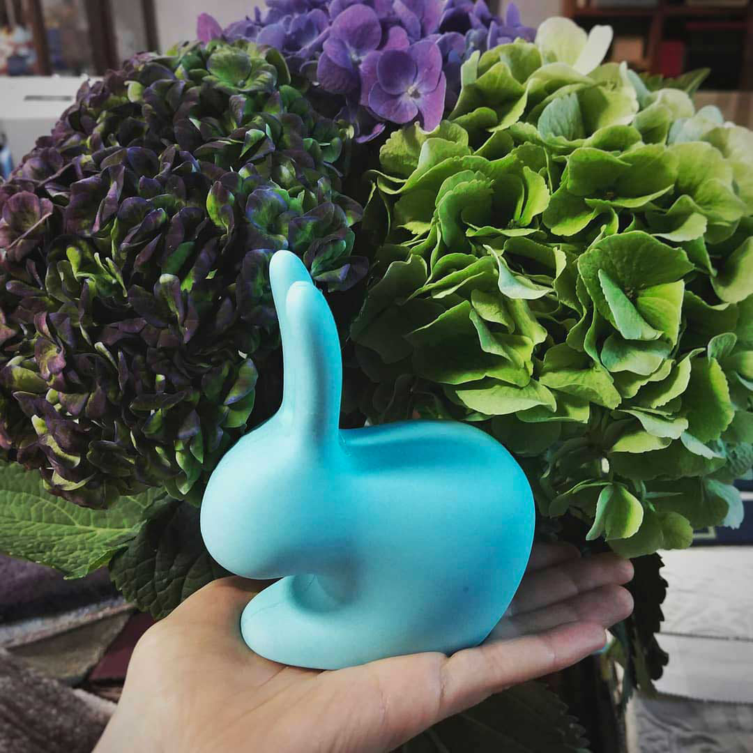 Rabbit XS white door stopwatch