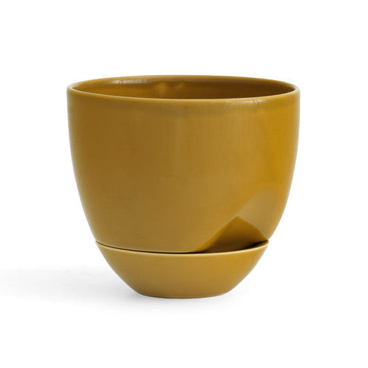 HYDROUS pot ochre
