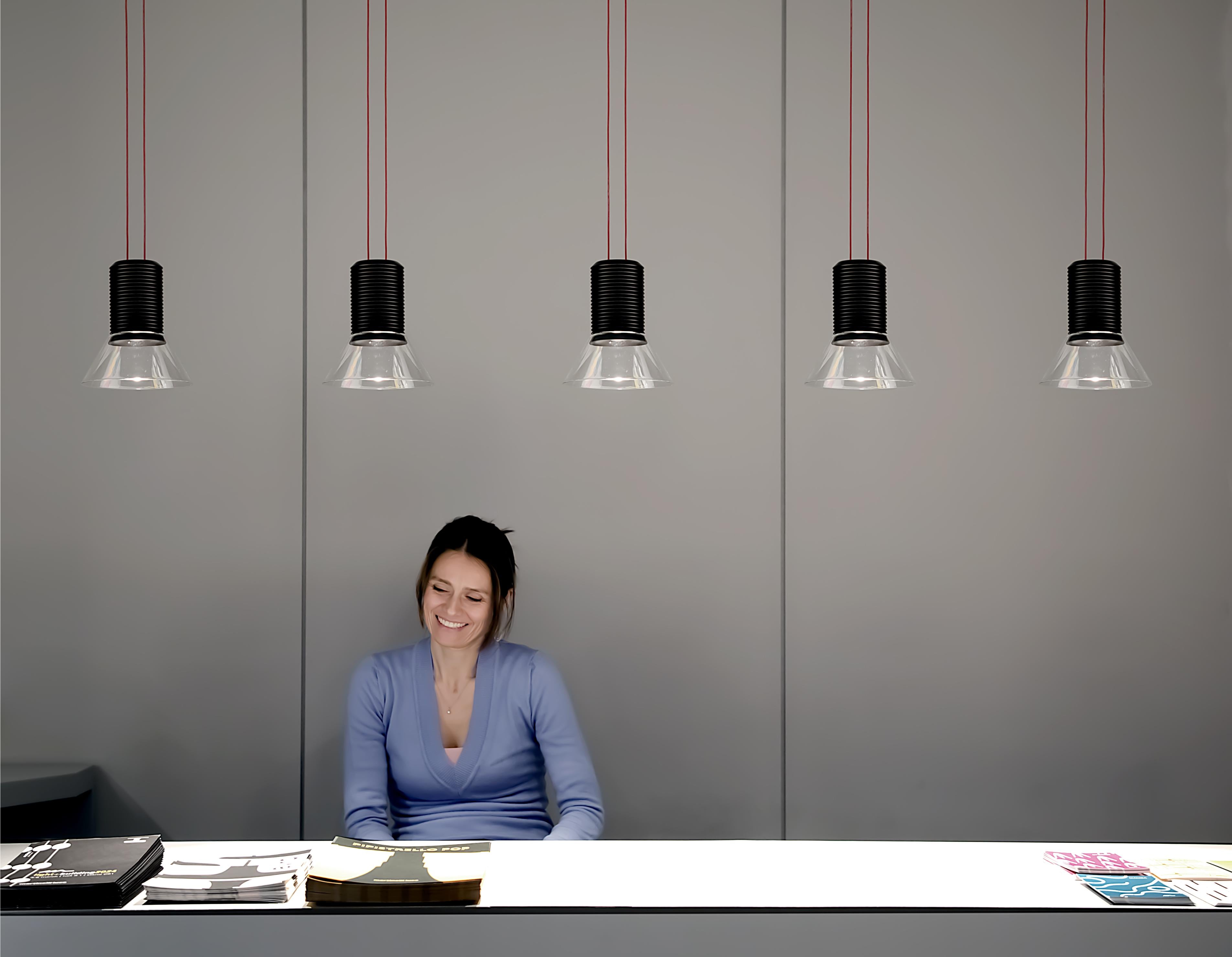 DIA plafondlamp transparant met matte bruine elementen