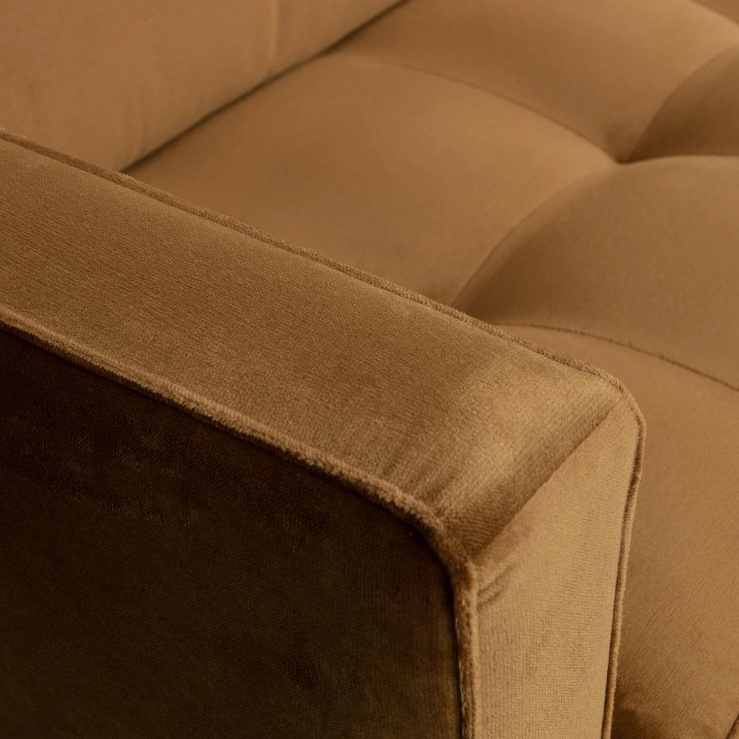 Samt Sessel Rodeo Classic Honey