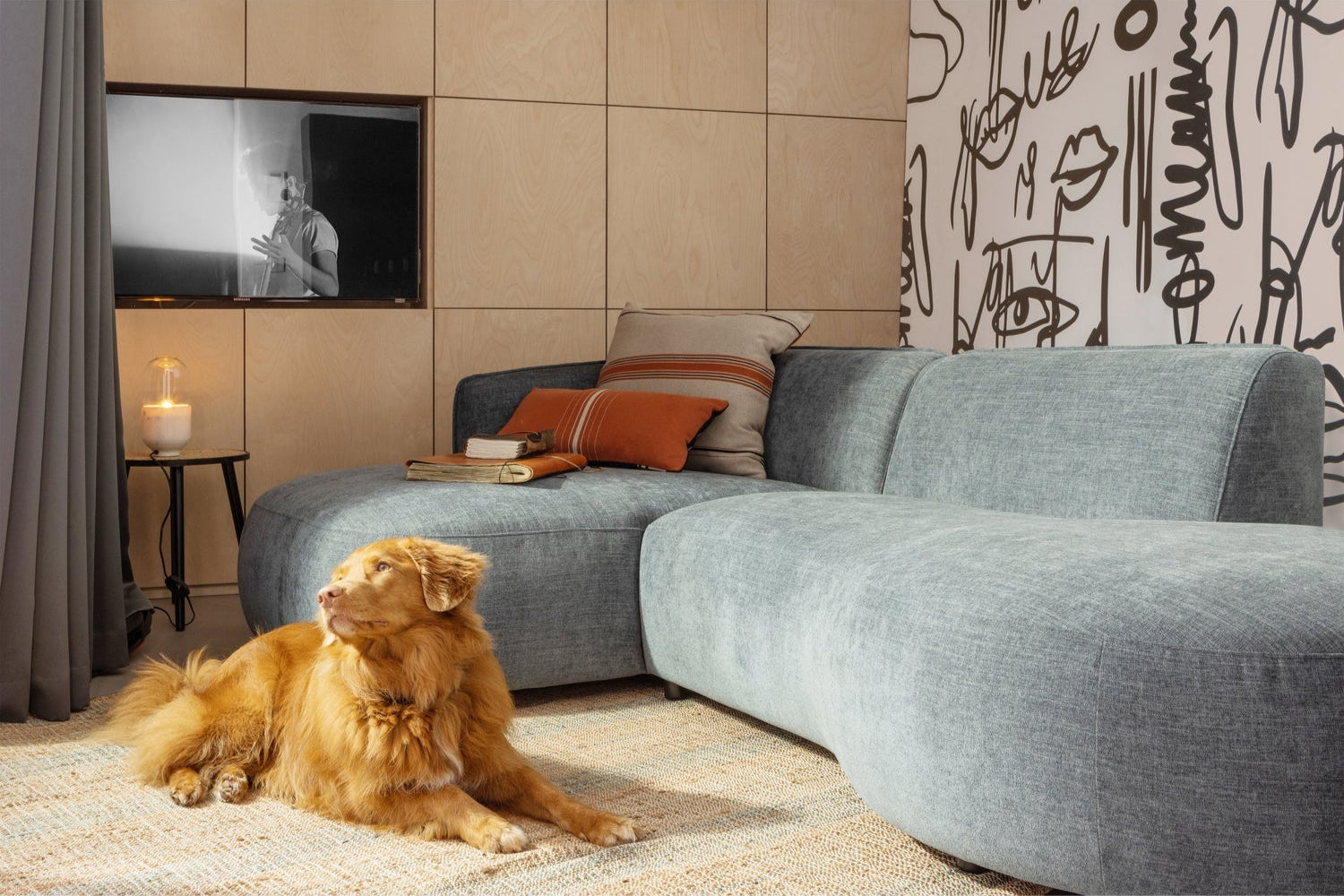 Left -handed corner of the sea polly