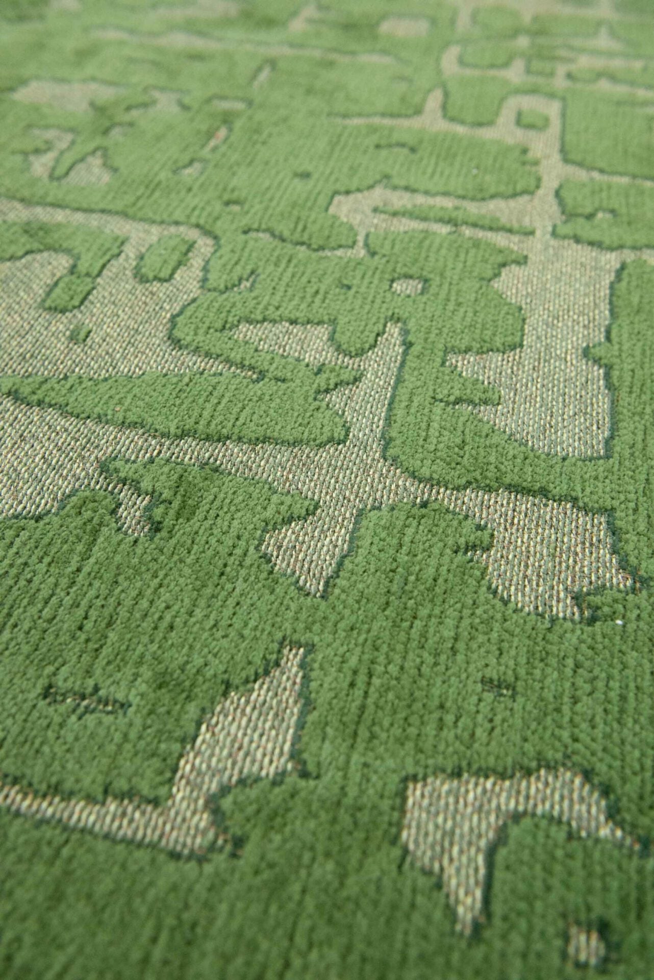Carpet Baobab Perrier’s Green Green