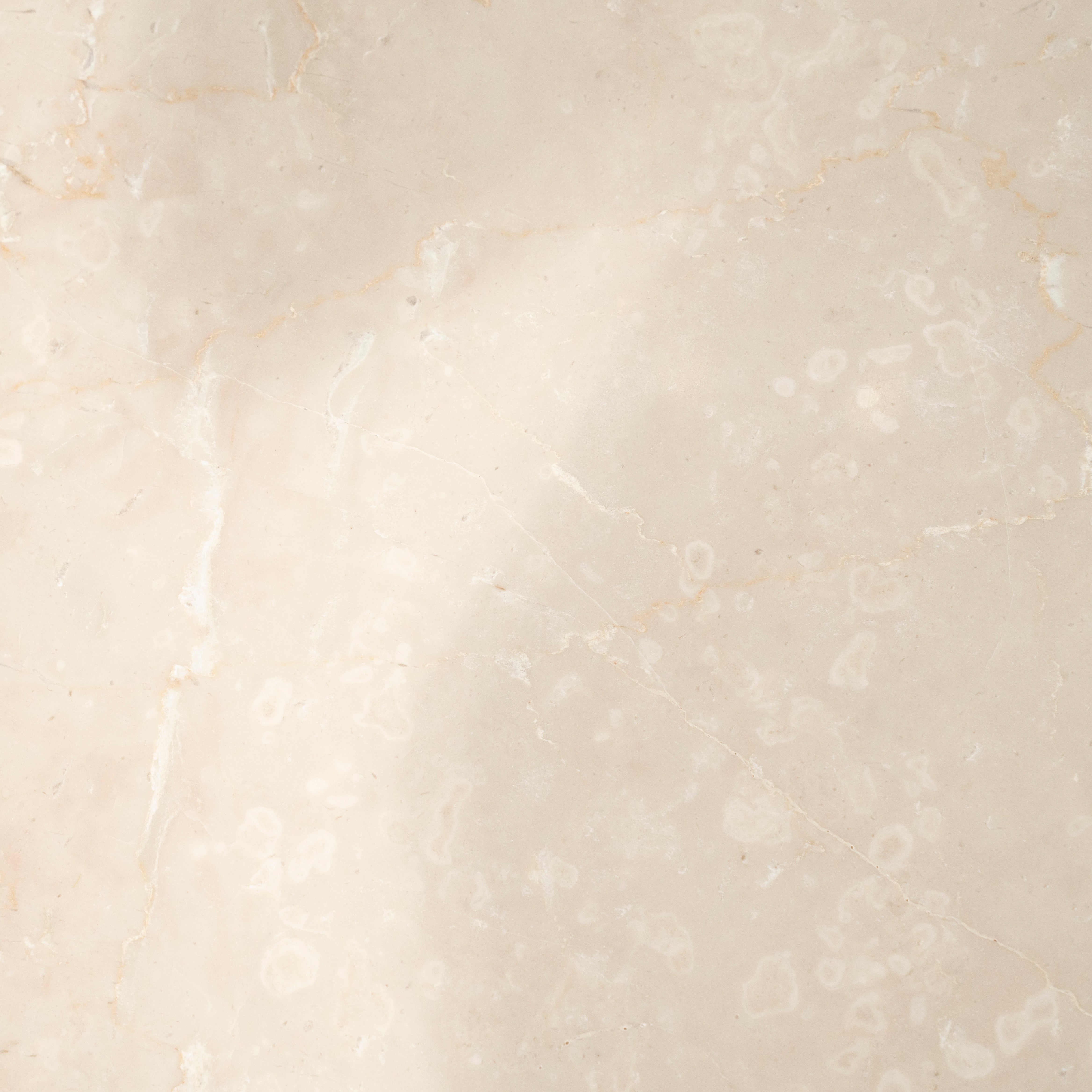 Ronde tafel XANNI van Botticion marmer met mango-hout