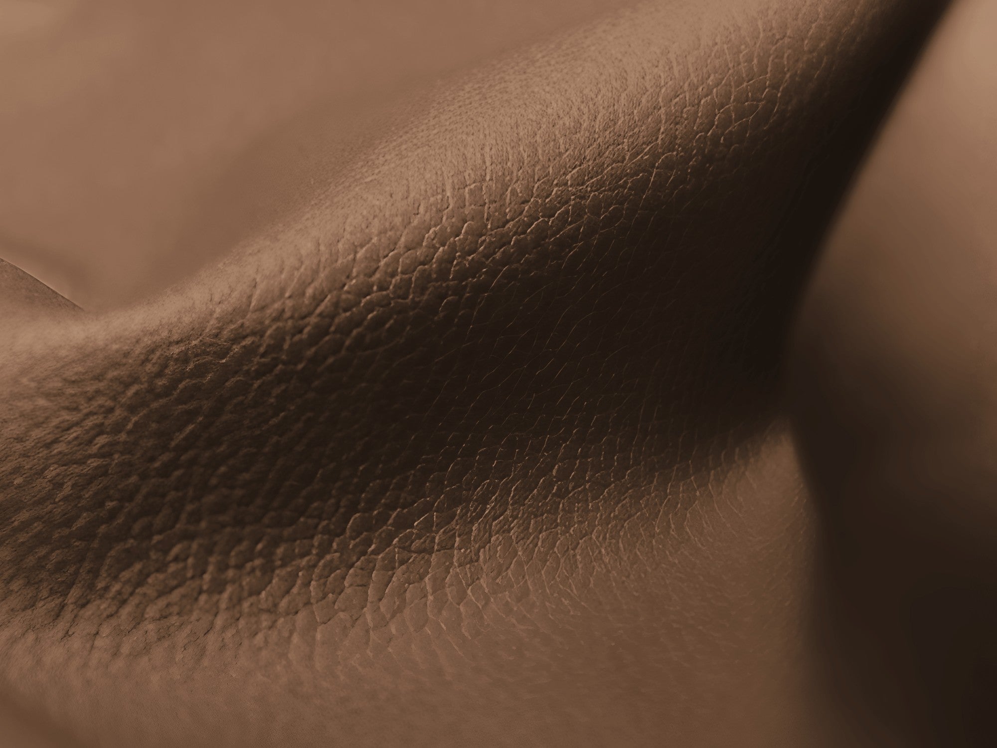 Modulaire panoramische hoekbank ALOHA chocolade ecologische leer