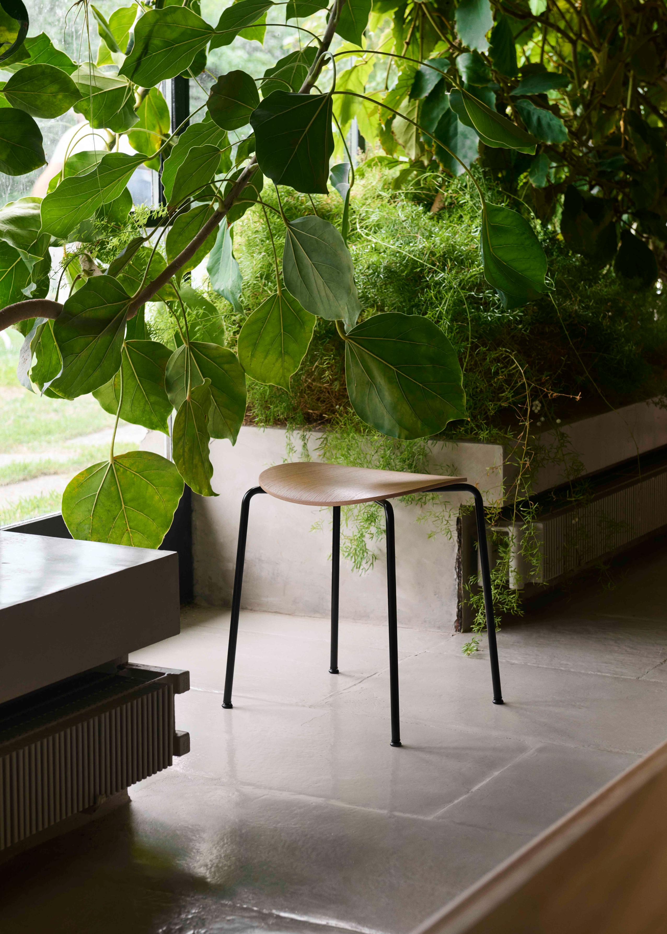 Kruk PAVILION AV36 zwart eikenhout met een zwarte stalen basis