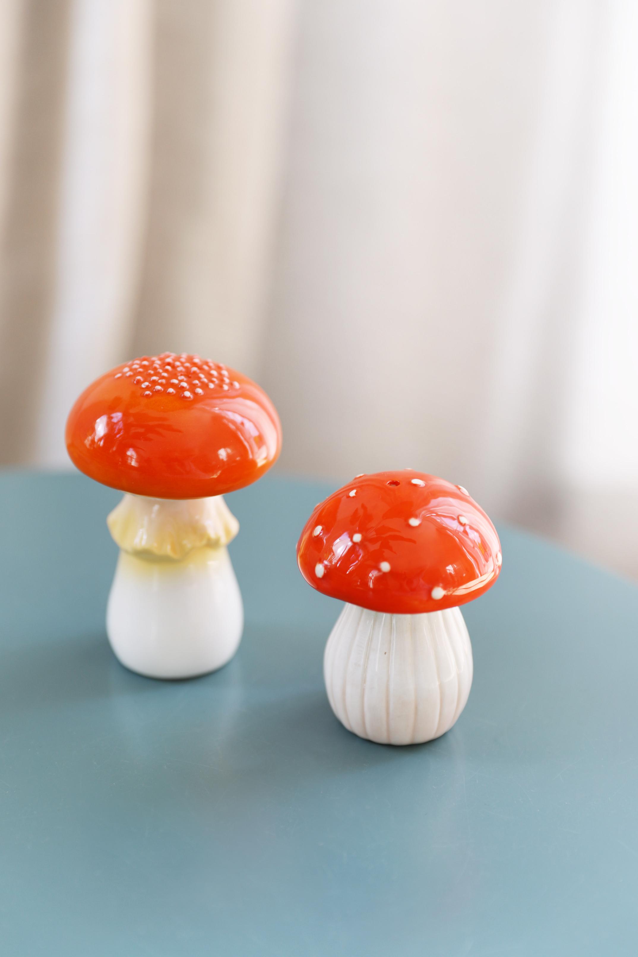 Paddenstoelen zout- en peperstel rood met wit