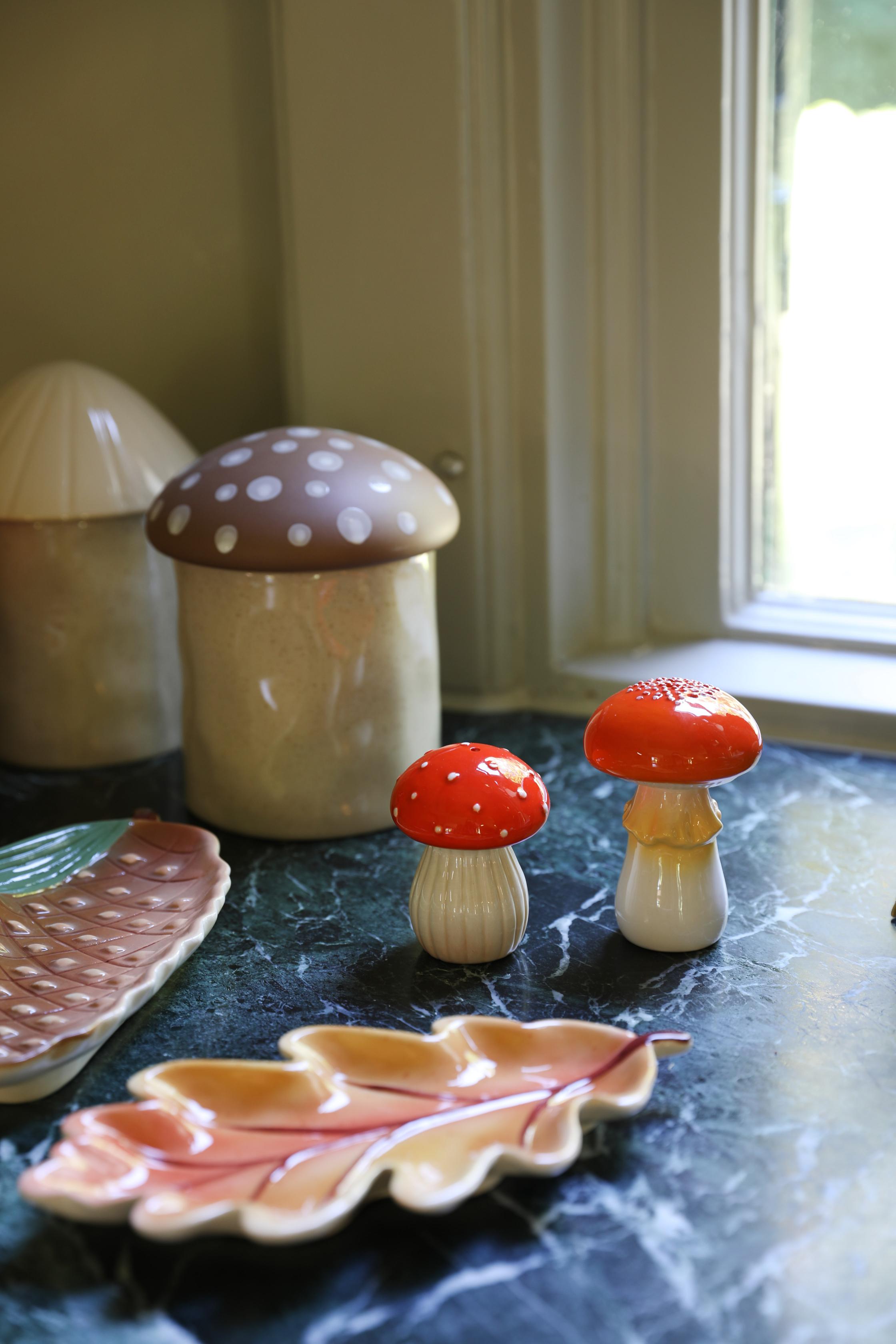 Paddenstoelen zout- en peperstel rood met wit