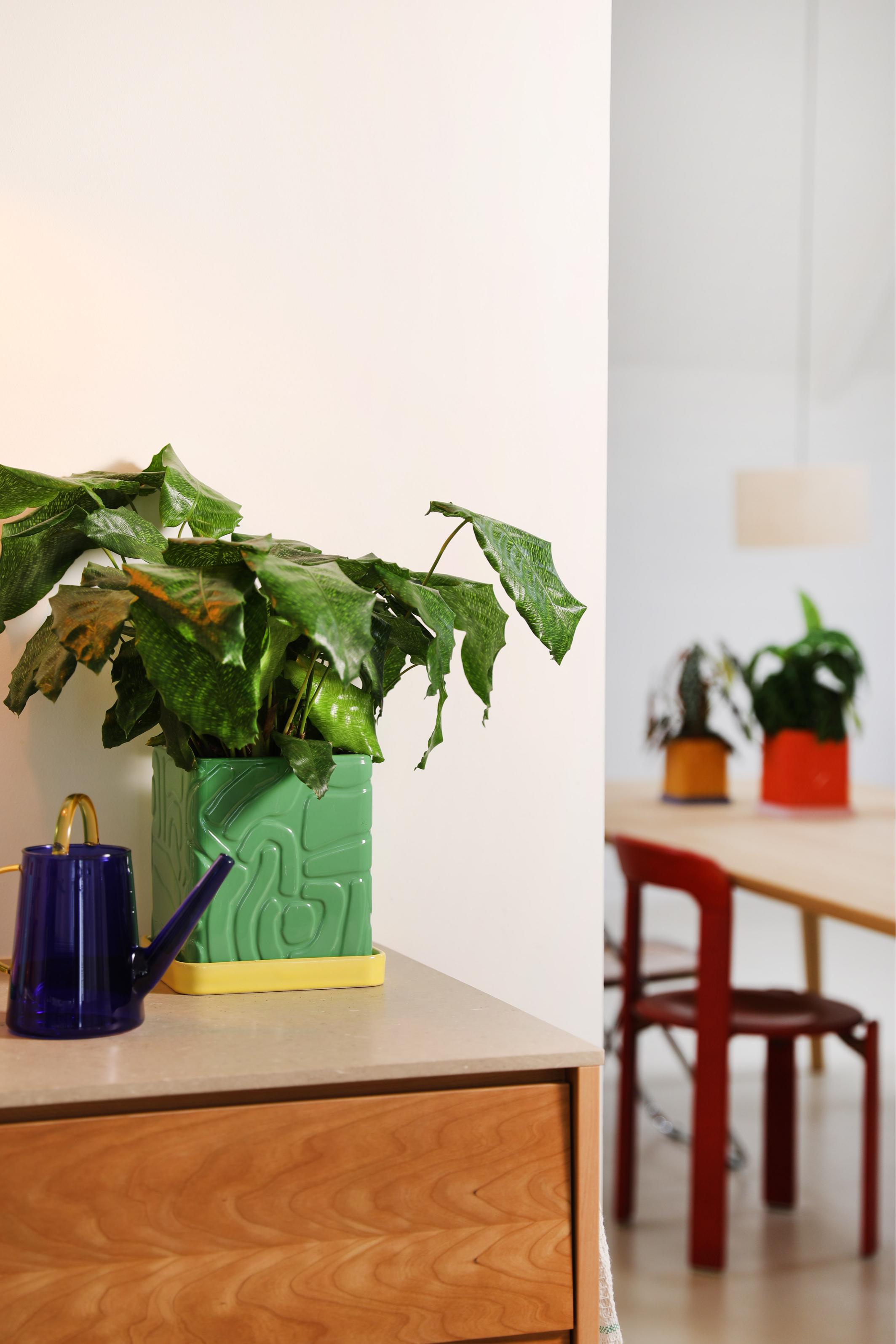 Blumentopf TRIBE grün mit gelbem Untersetzer