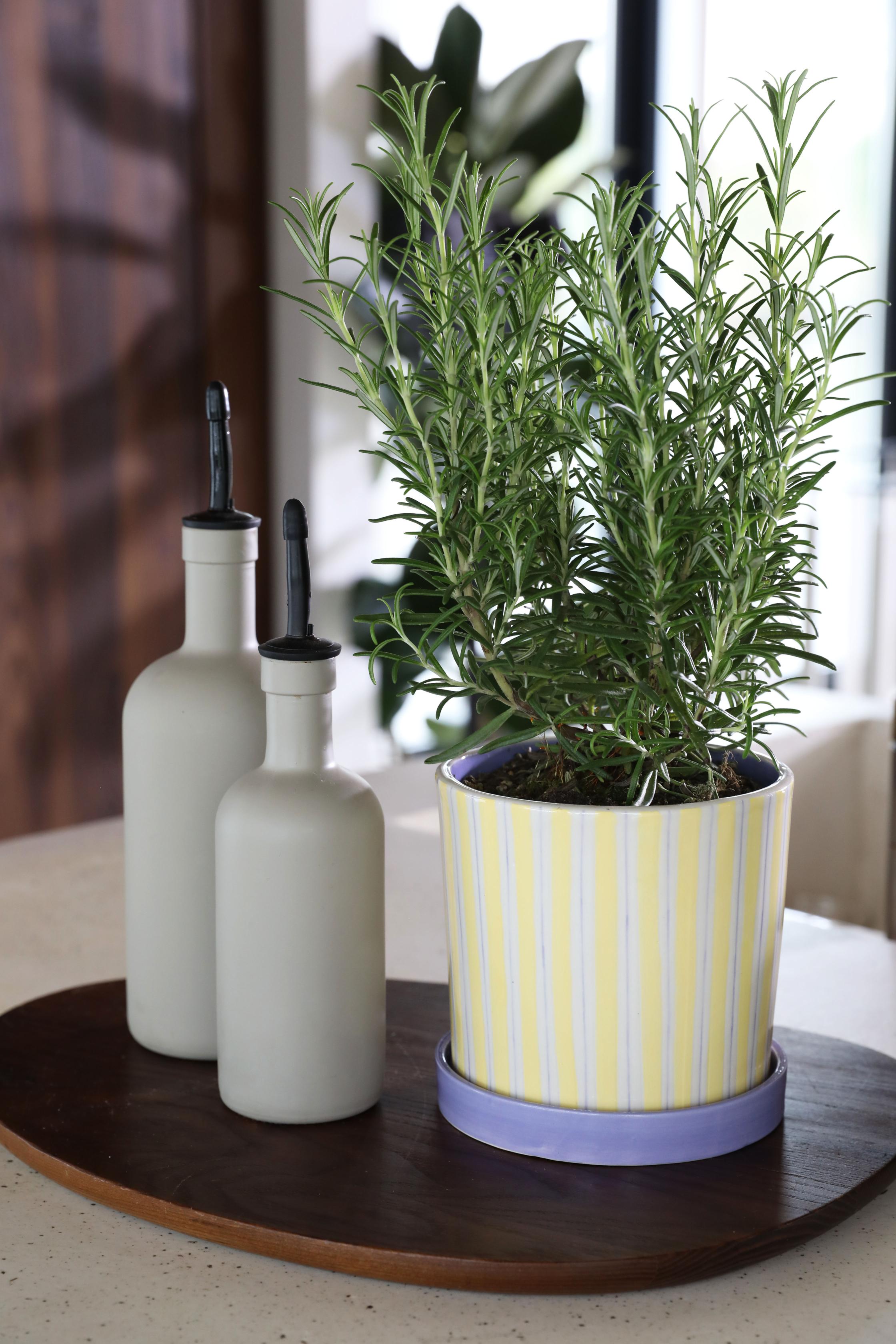 Bloempot RAY geel met paars