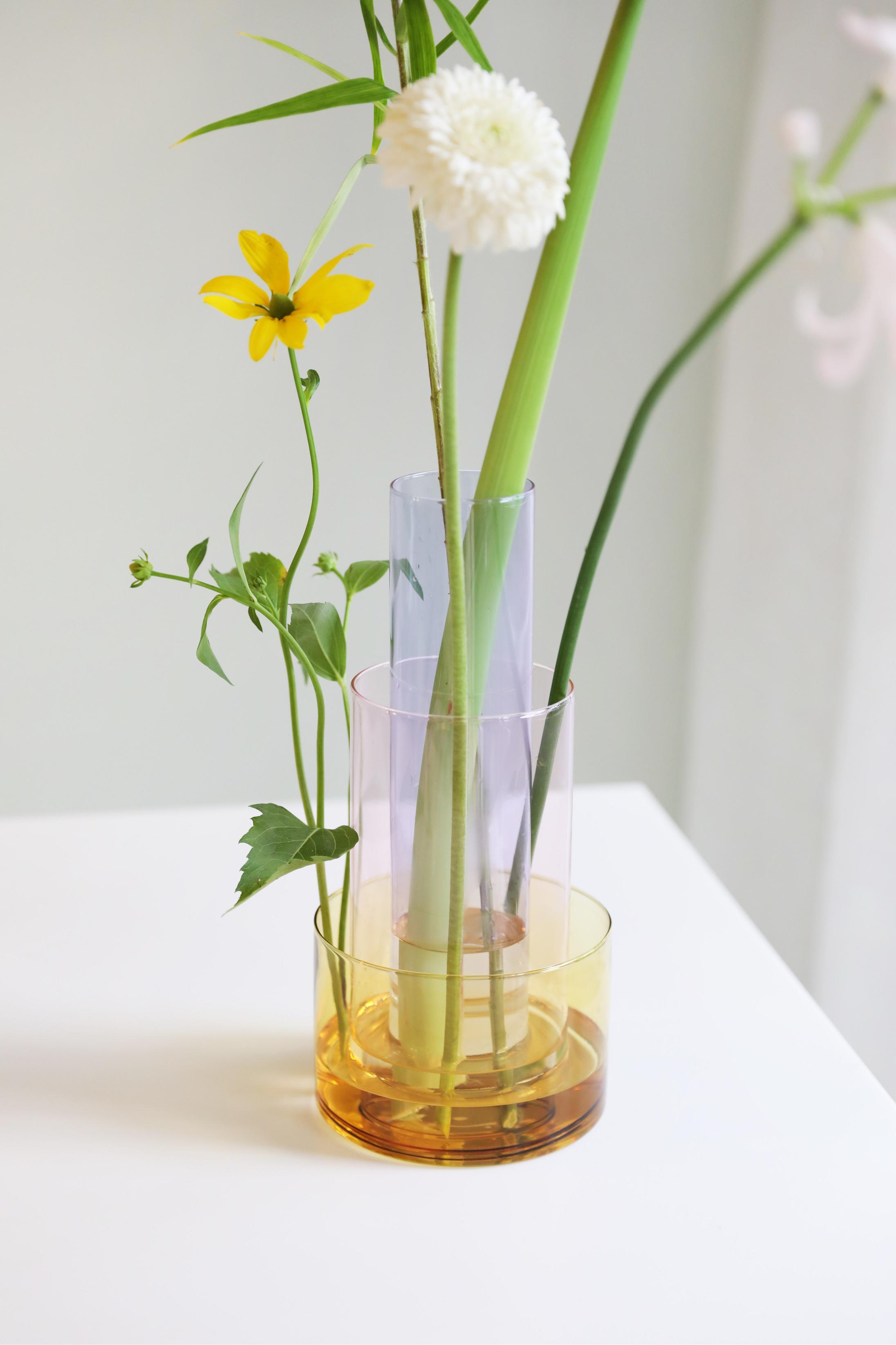 Vaas AMPHI paars met roze en geel