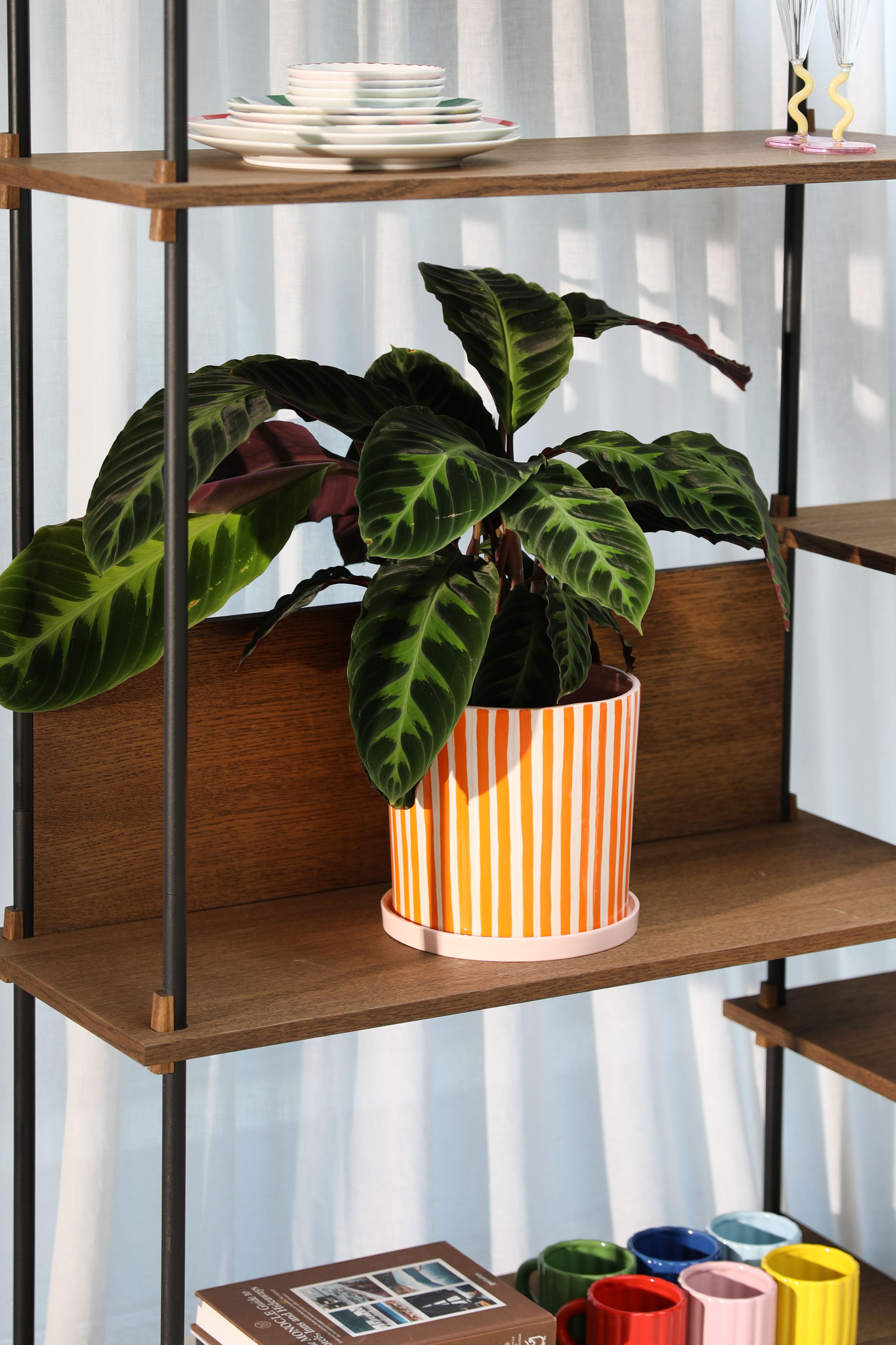 RAY pot in orange with white and pink