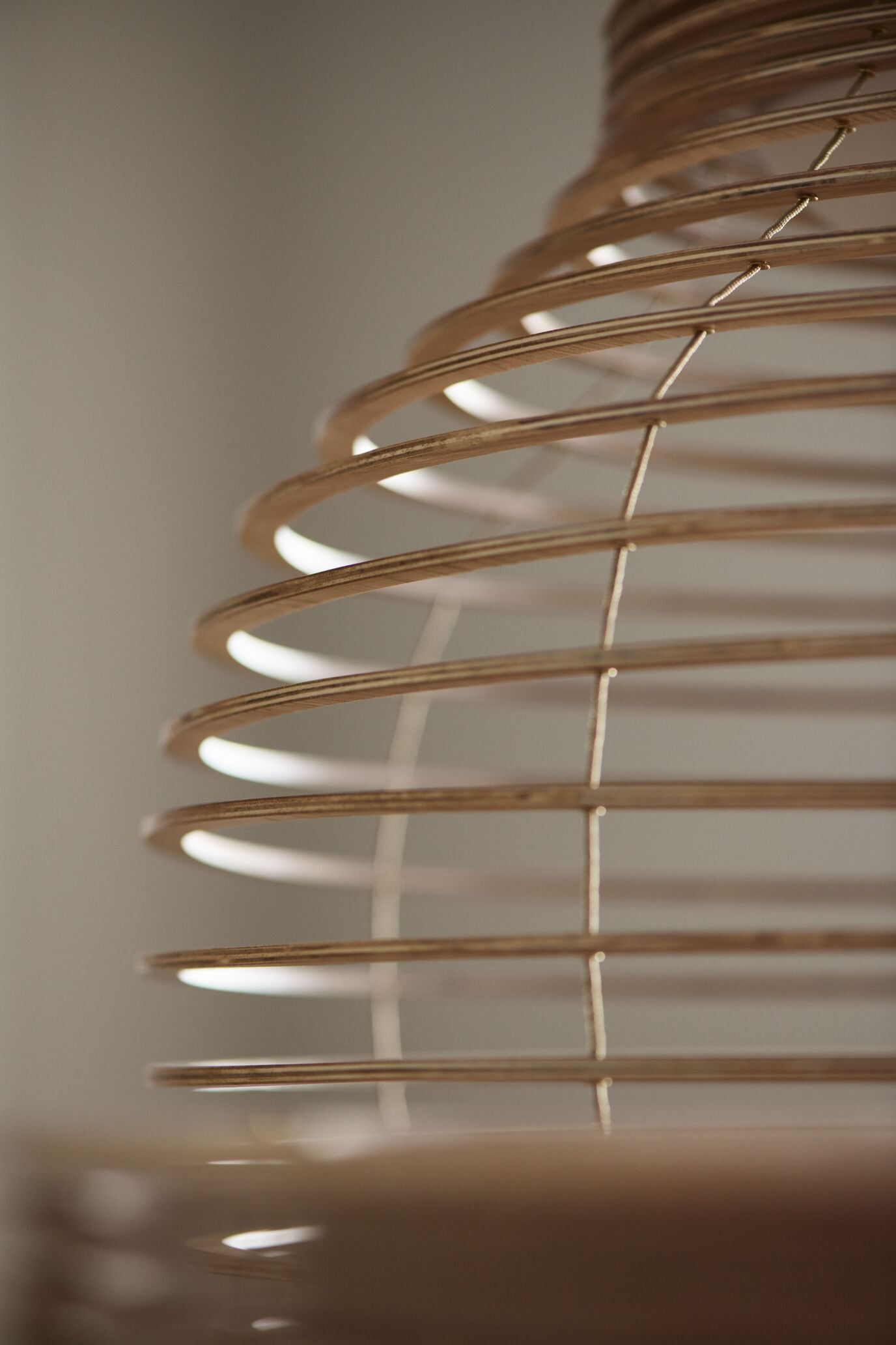 Anelli Hanging Lampe Eichenfurnier