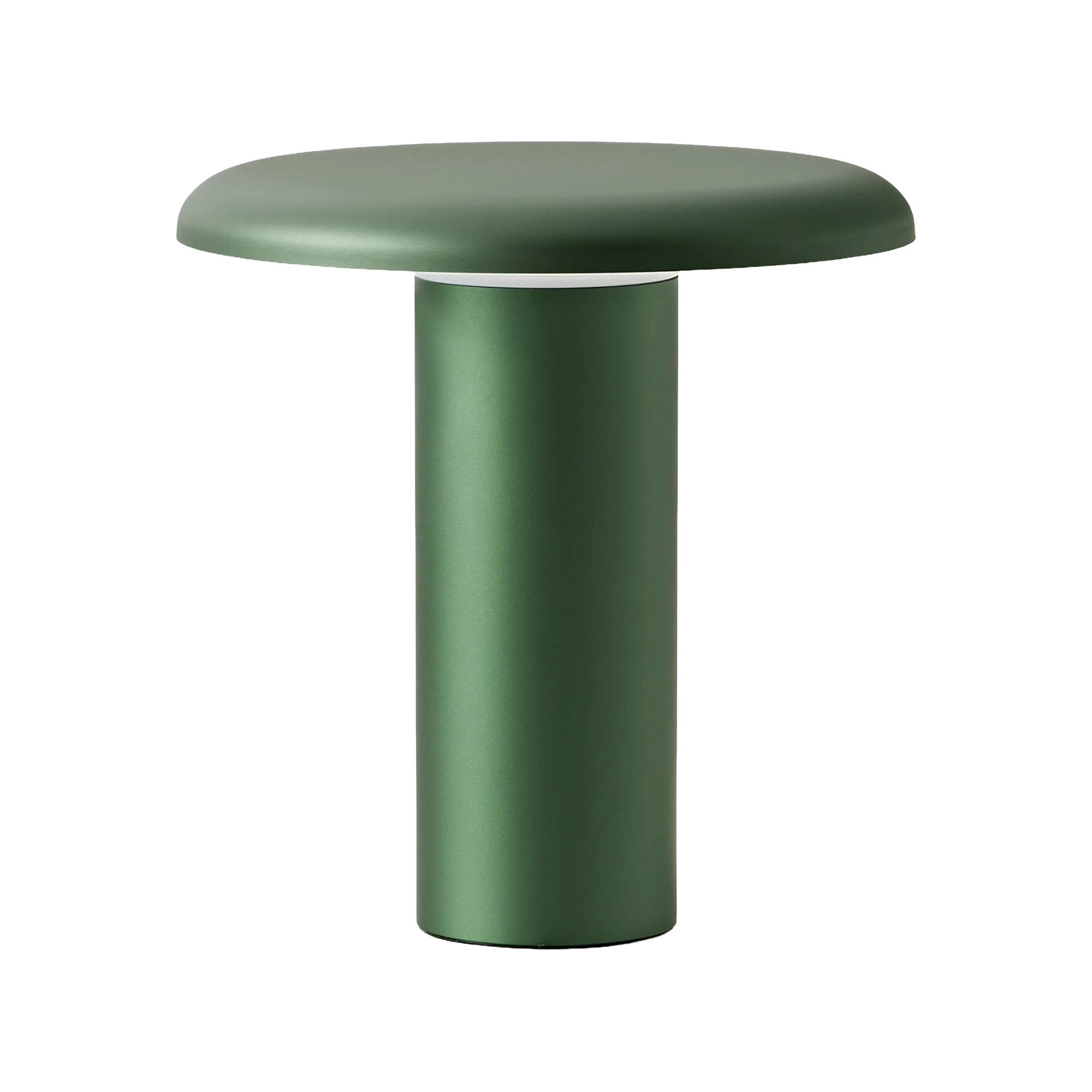 Portable Lamp TAKKU anodized green