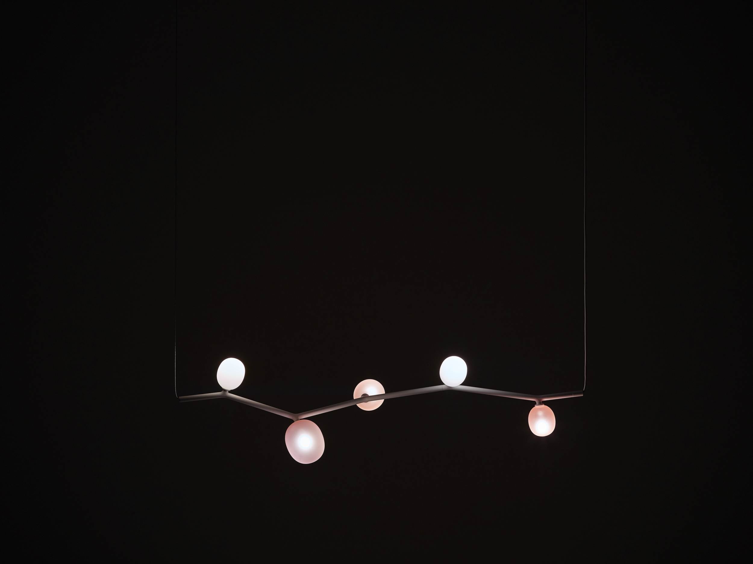 Ivy hanging lamp - Horizontal Matte glass