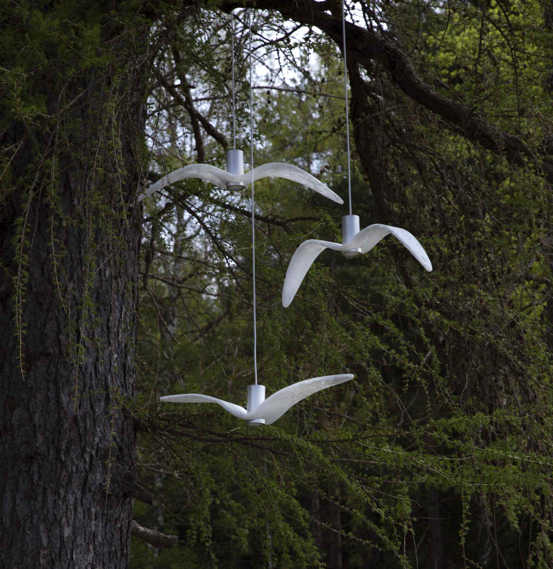 Äußere Hanglampen Nacht Vögel Außenglas
