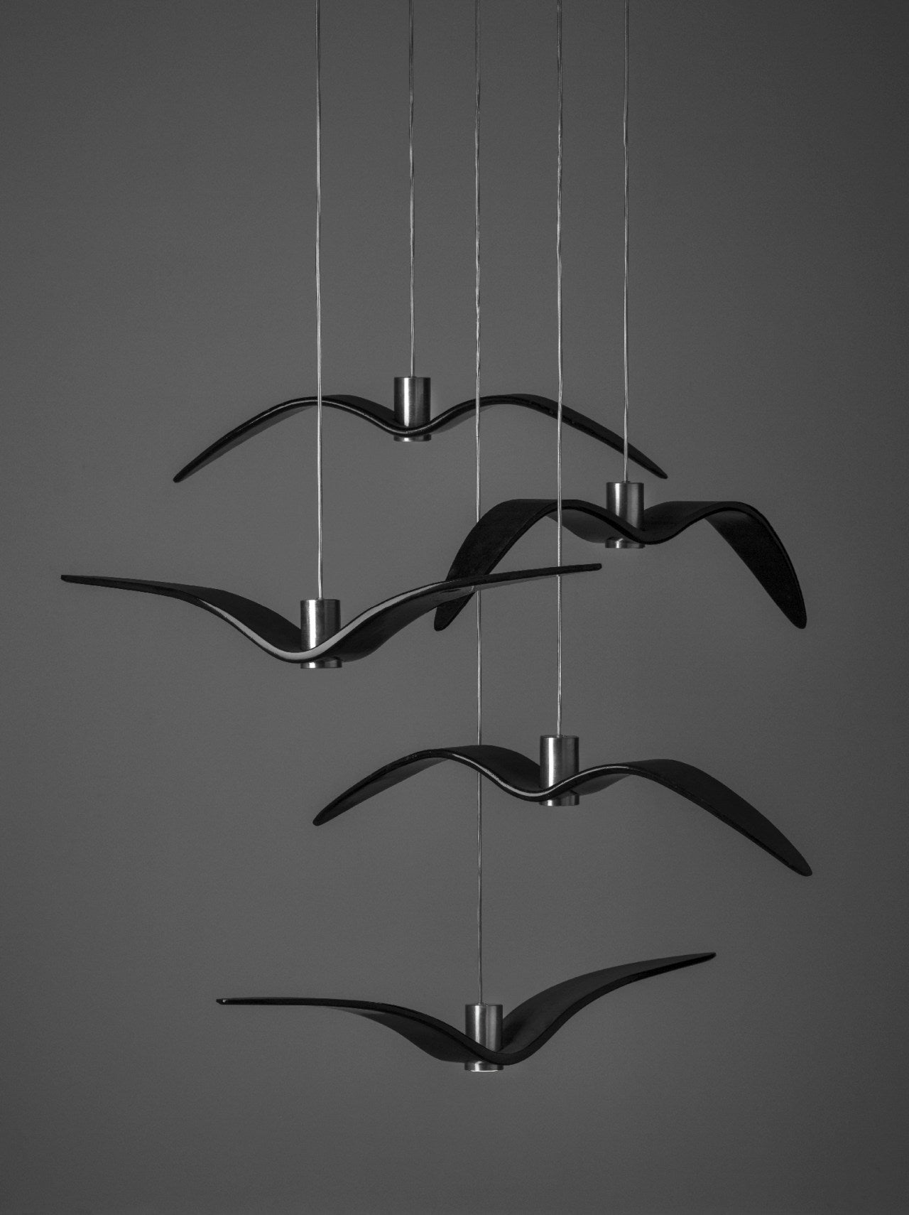 Hanging Lamp Night Birds Glas