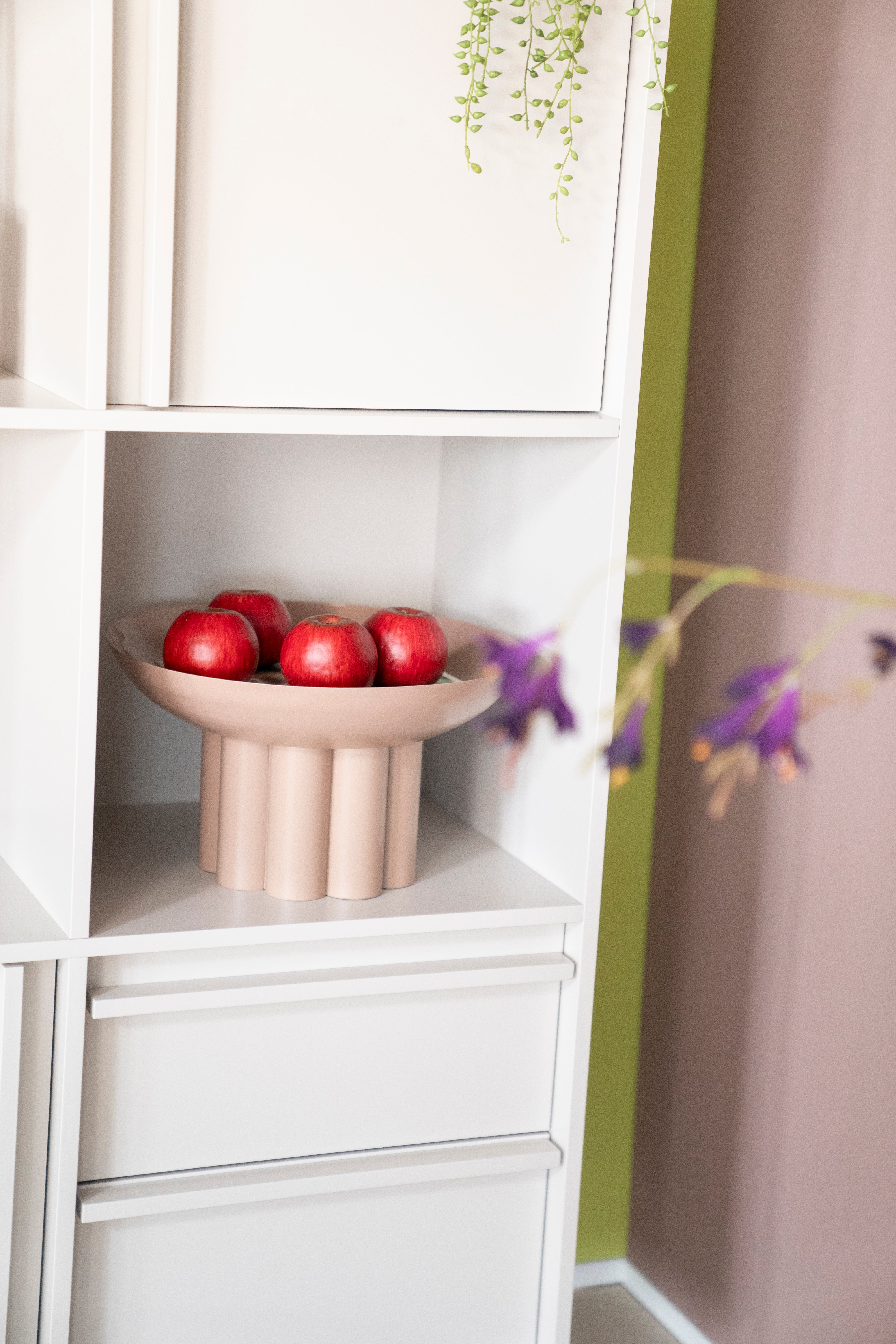 Patera OLYMPA poederroze