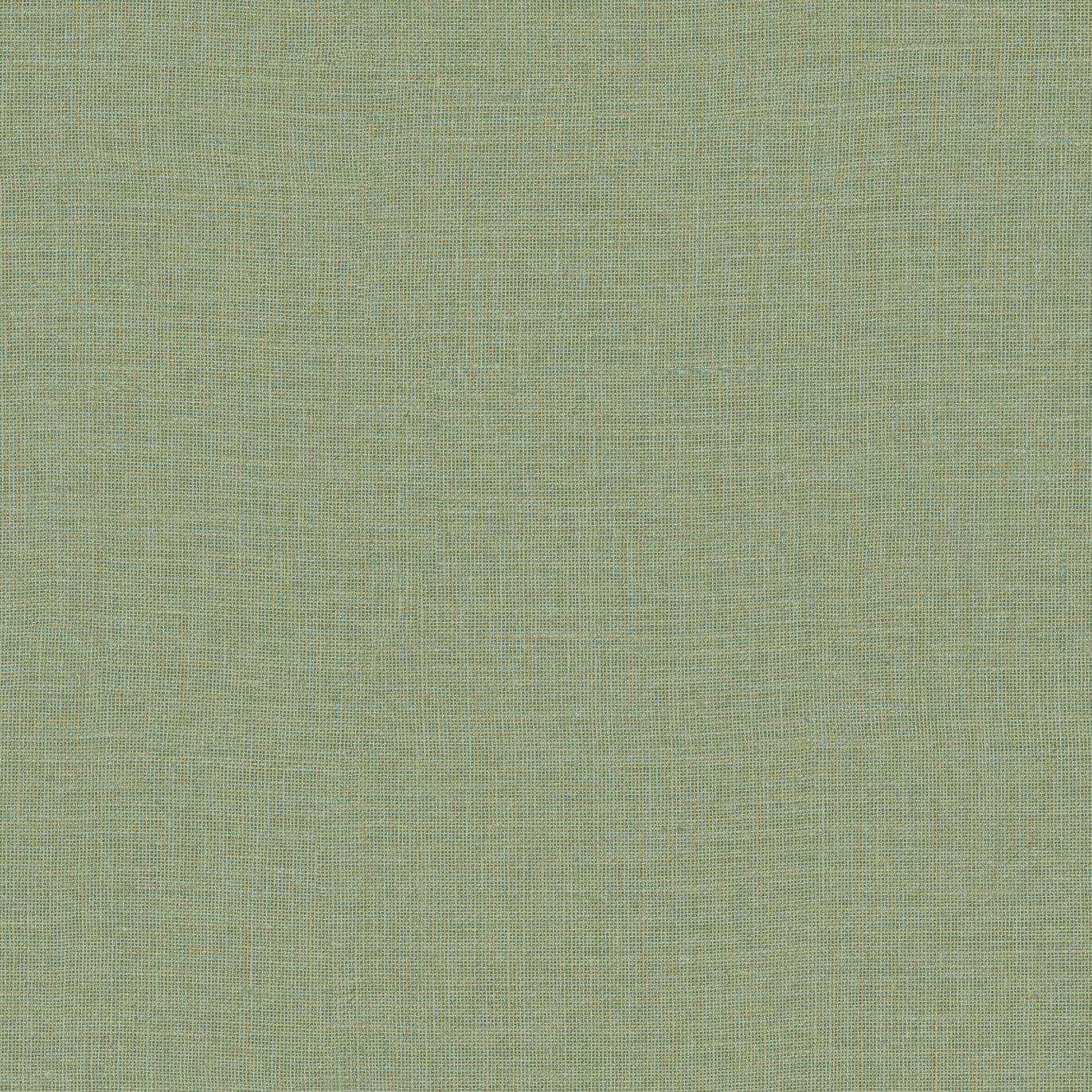 Structuurtapijt dat canvas imiteert LIENZO - CACTUS kaktus