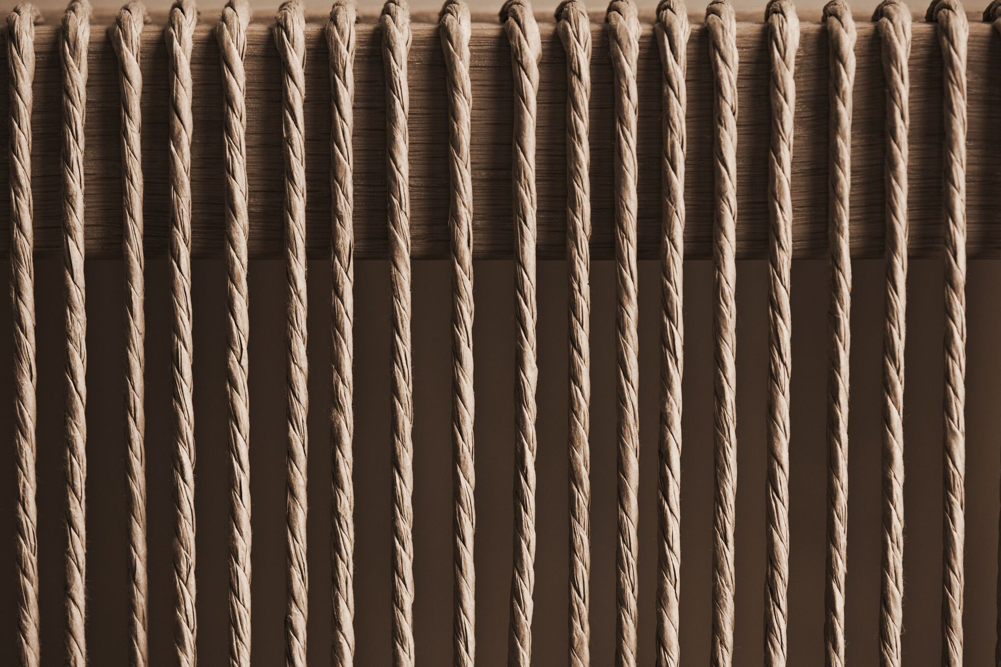 Cord -Website blies Eichenholz