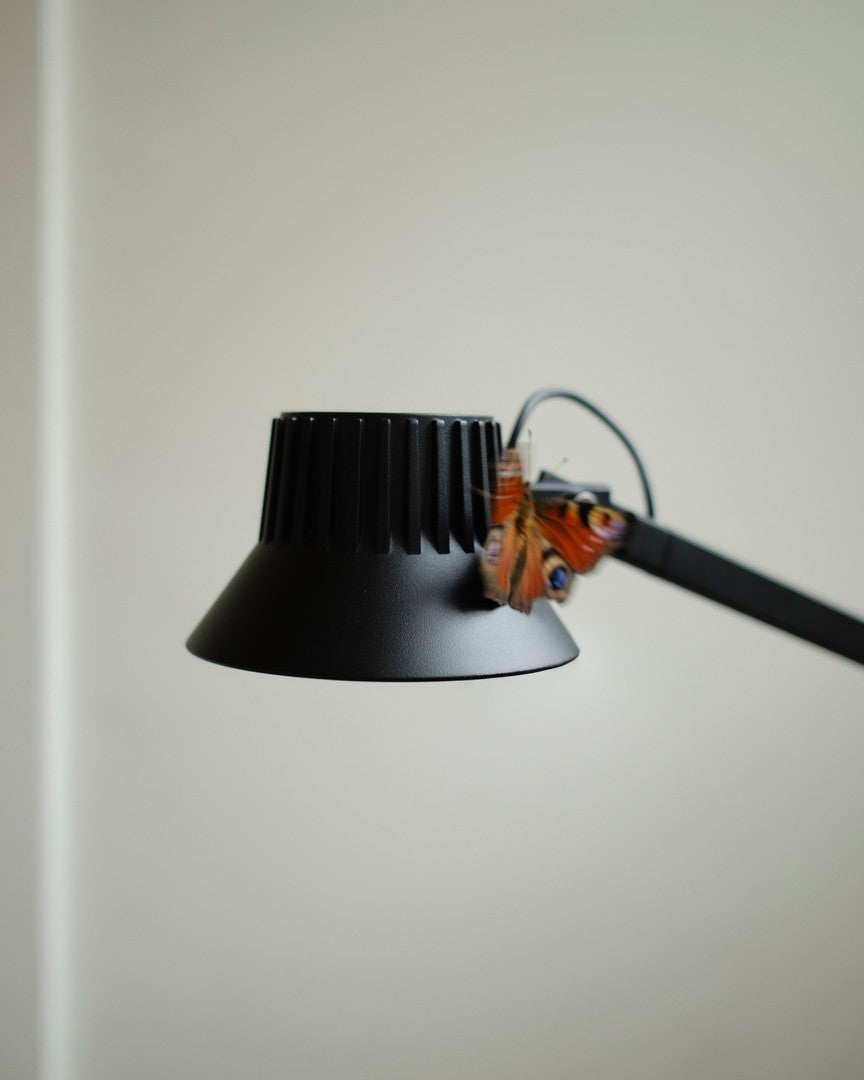 Lampa podłogowa do czytania regulowana DEDICATE czarny