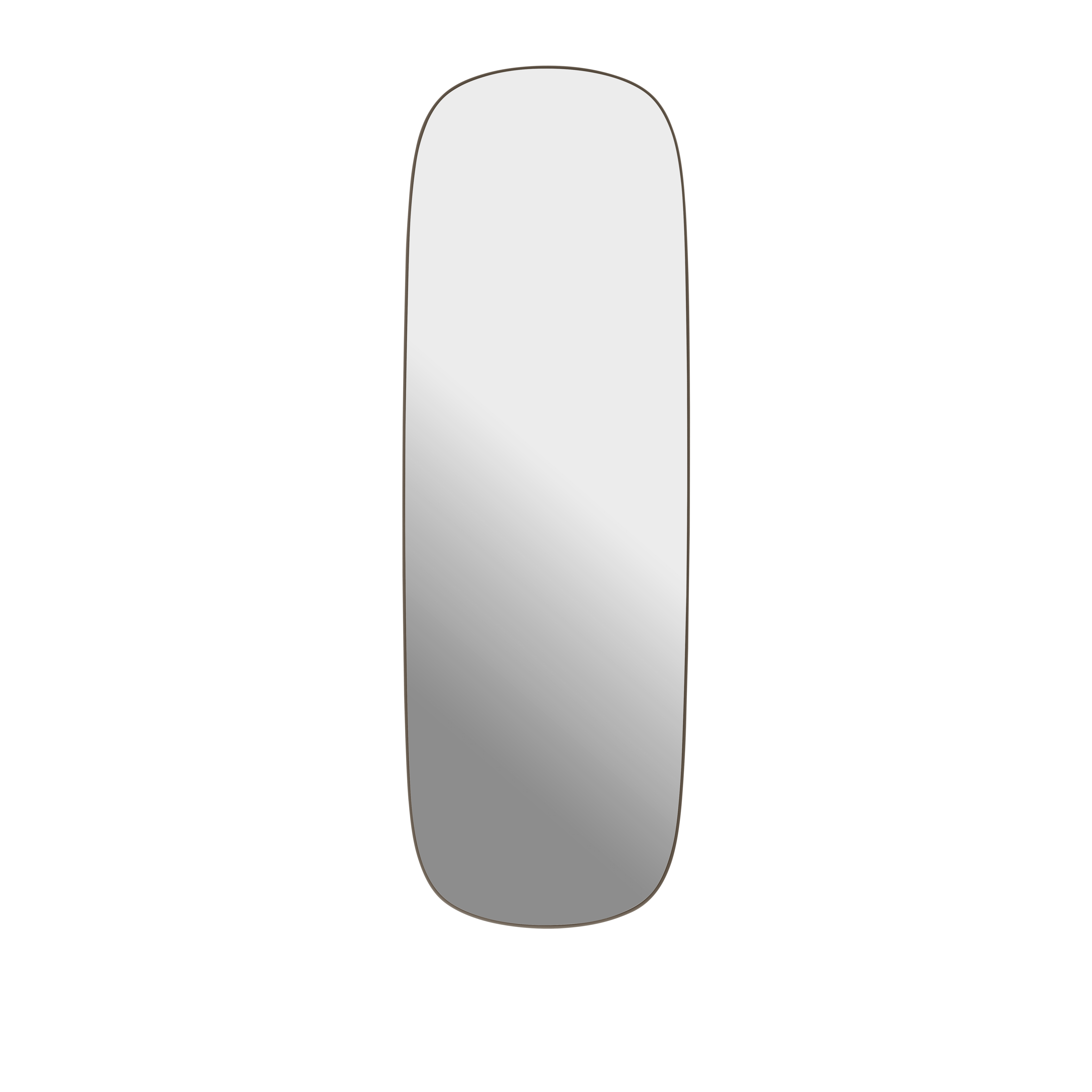 Lustro FRAMED taupe lijst