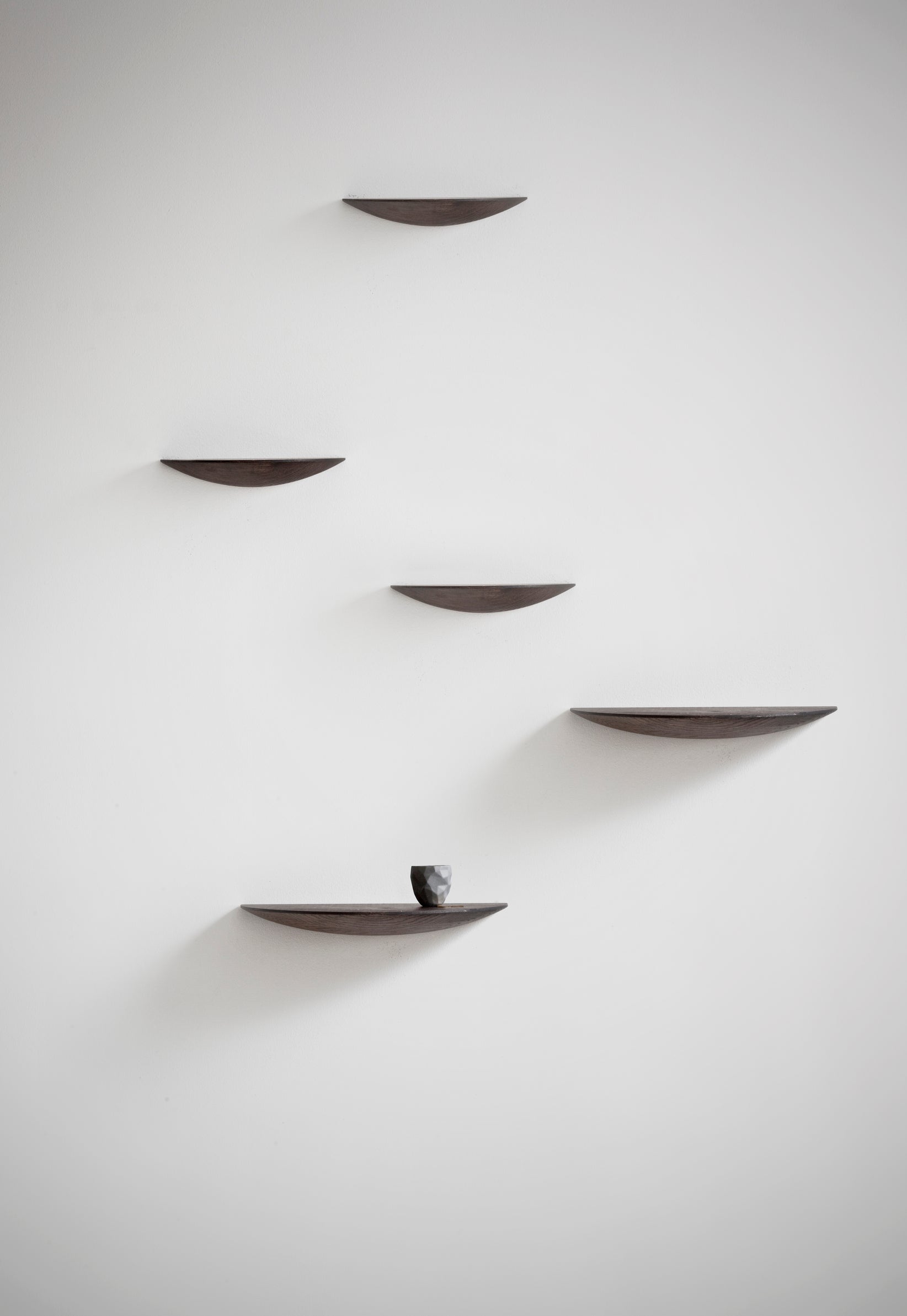 Wandplank GRIDGY FUNGI eikenhout