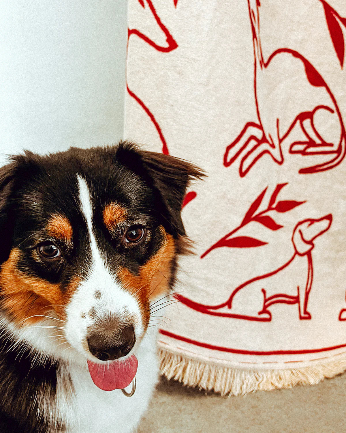 Koc PAWFECT zandbeige en bordeauxrood