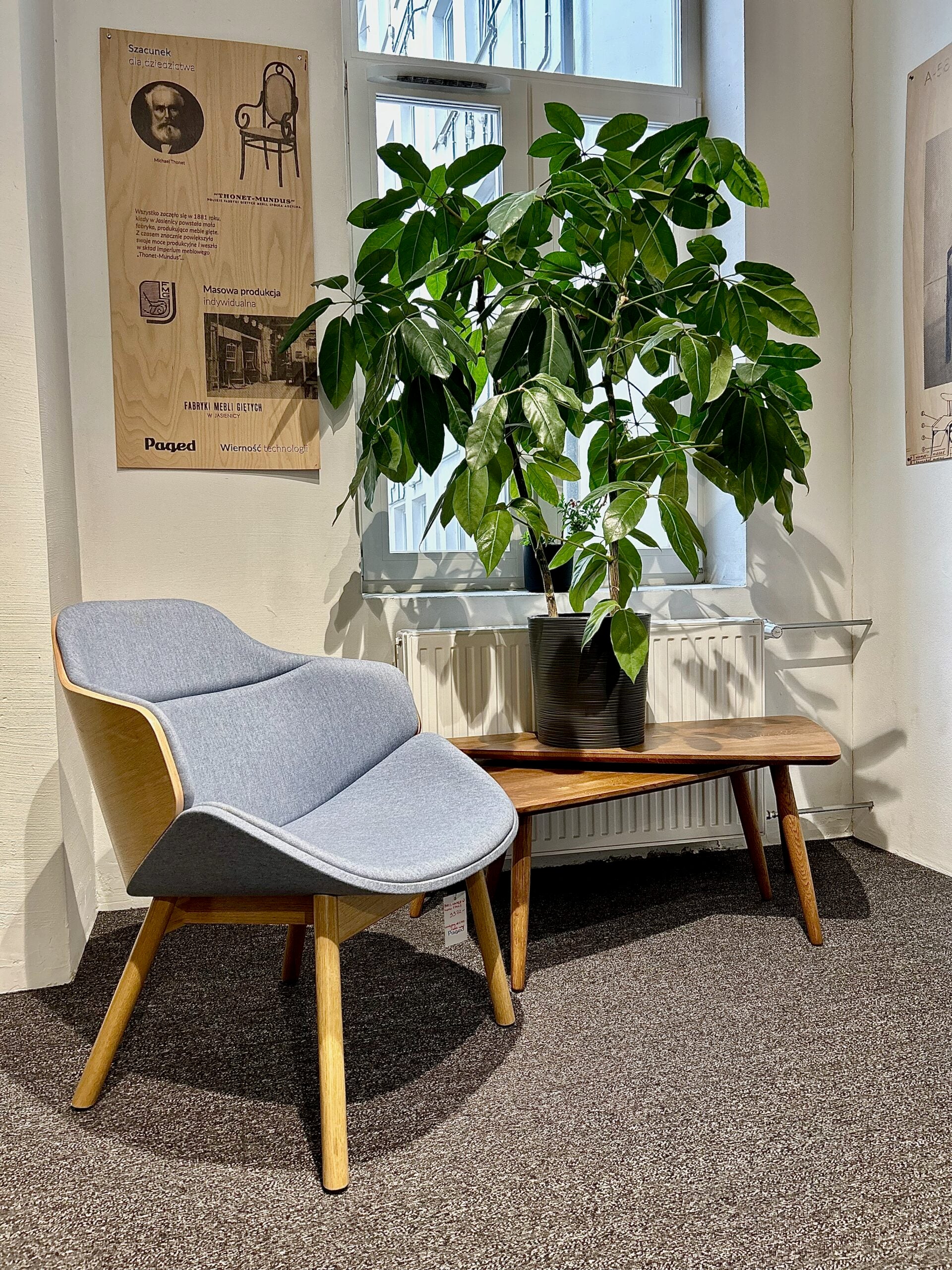 ARIA M-5350 UPHOLESTED armchair