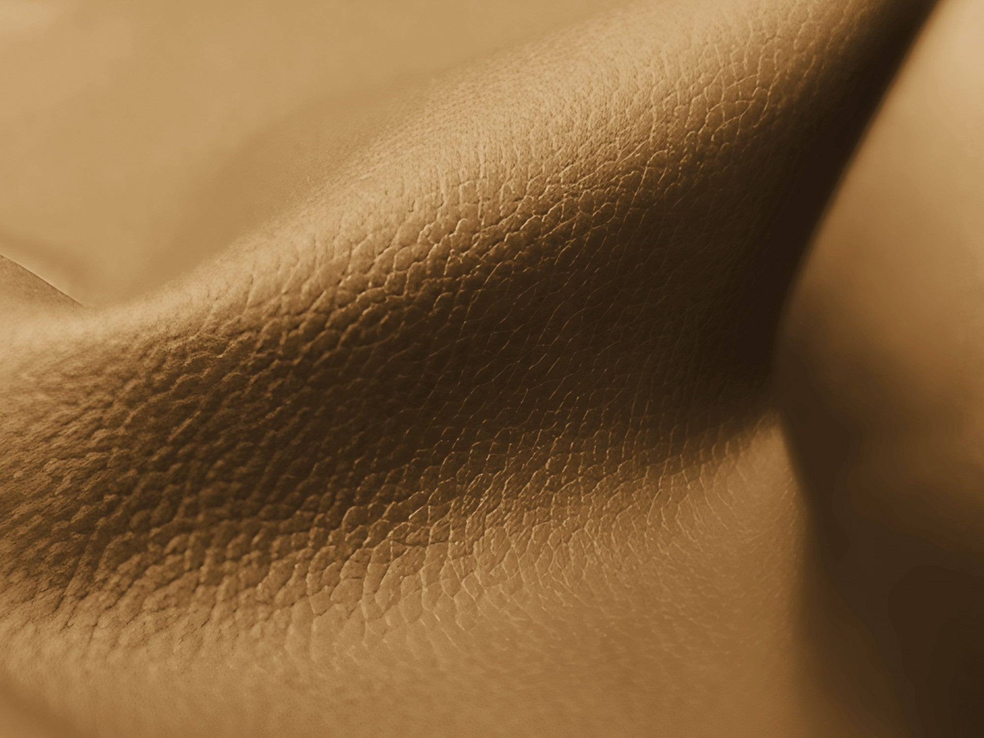 Modulaire 3-zitsbank LOKUA karamelkleurig ecologisch leer