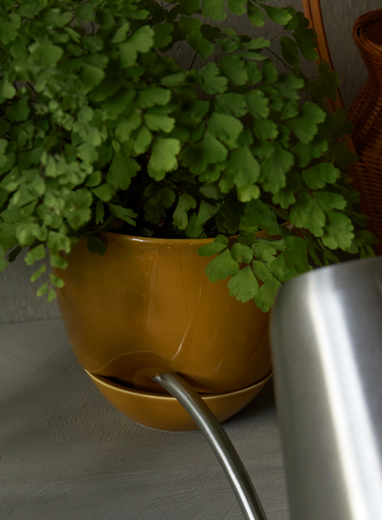 HYDROUS planter beige