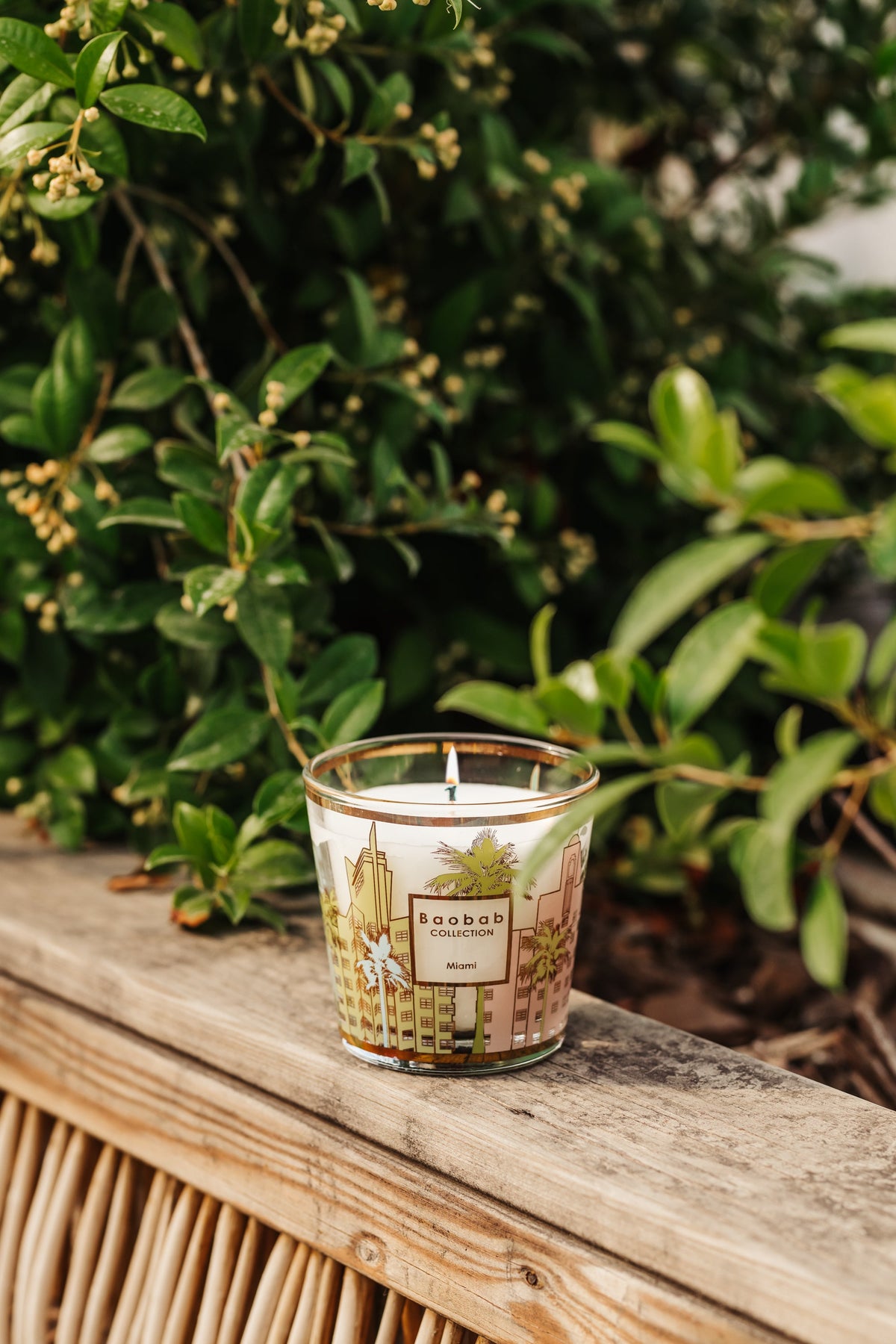 Świeca zapachowa MY FIRST BAOBAB MIAMI cyprys i cedr – zdjęcie 3