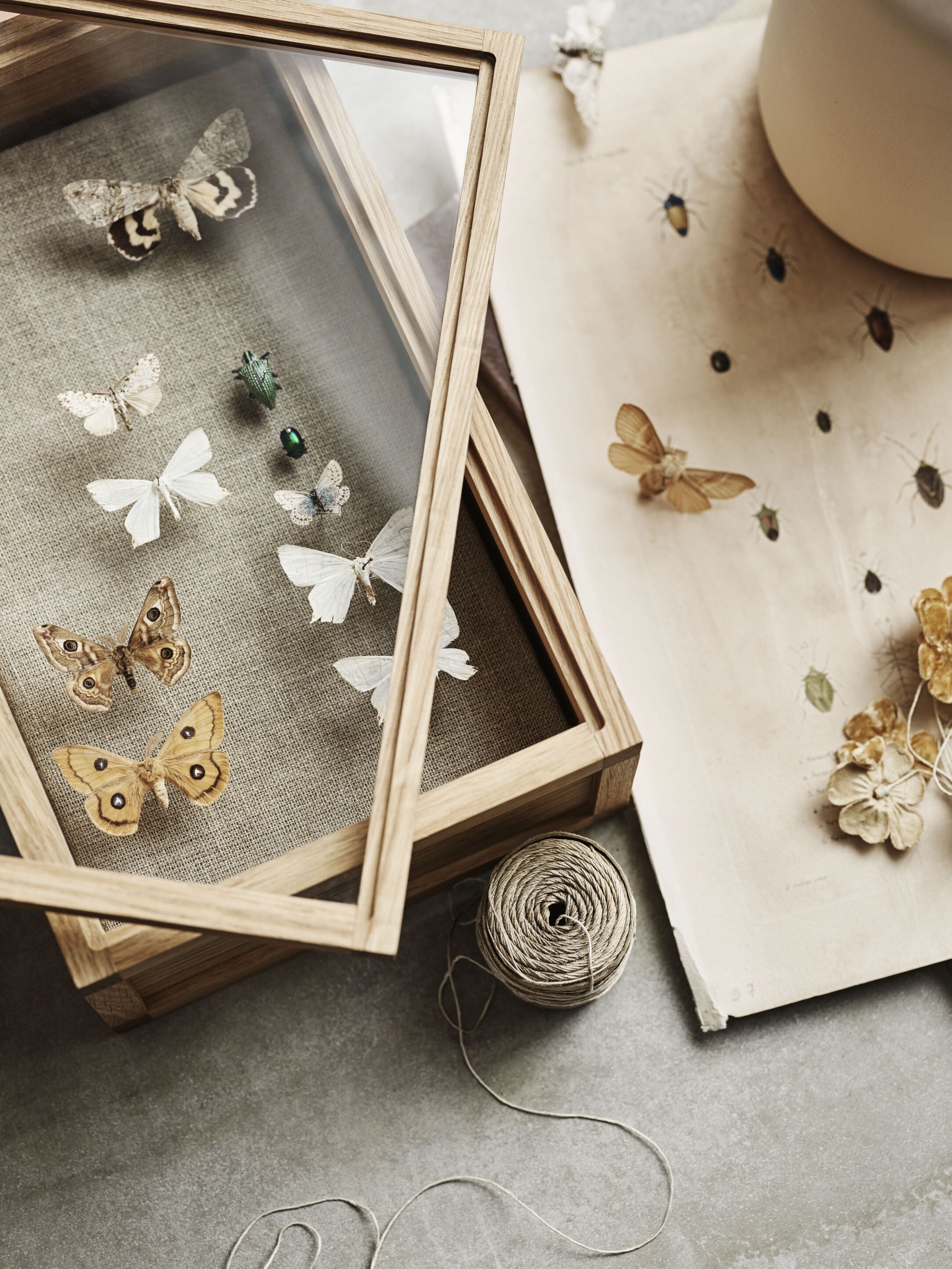 Decoratief doosje NORIE eikenhout