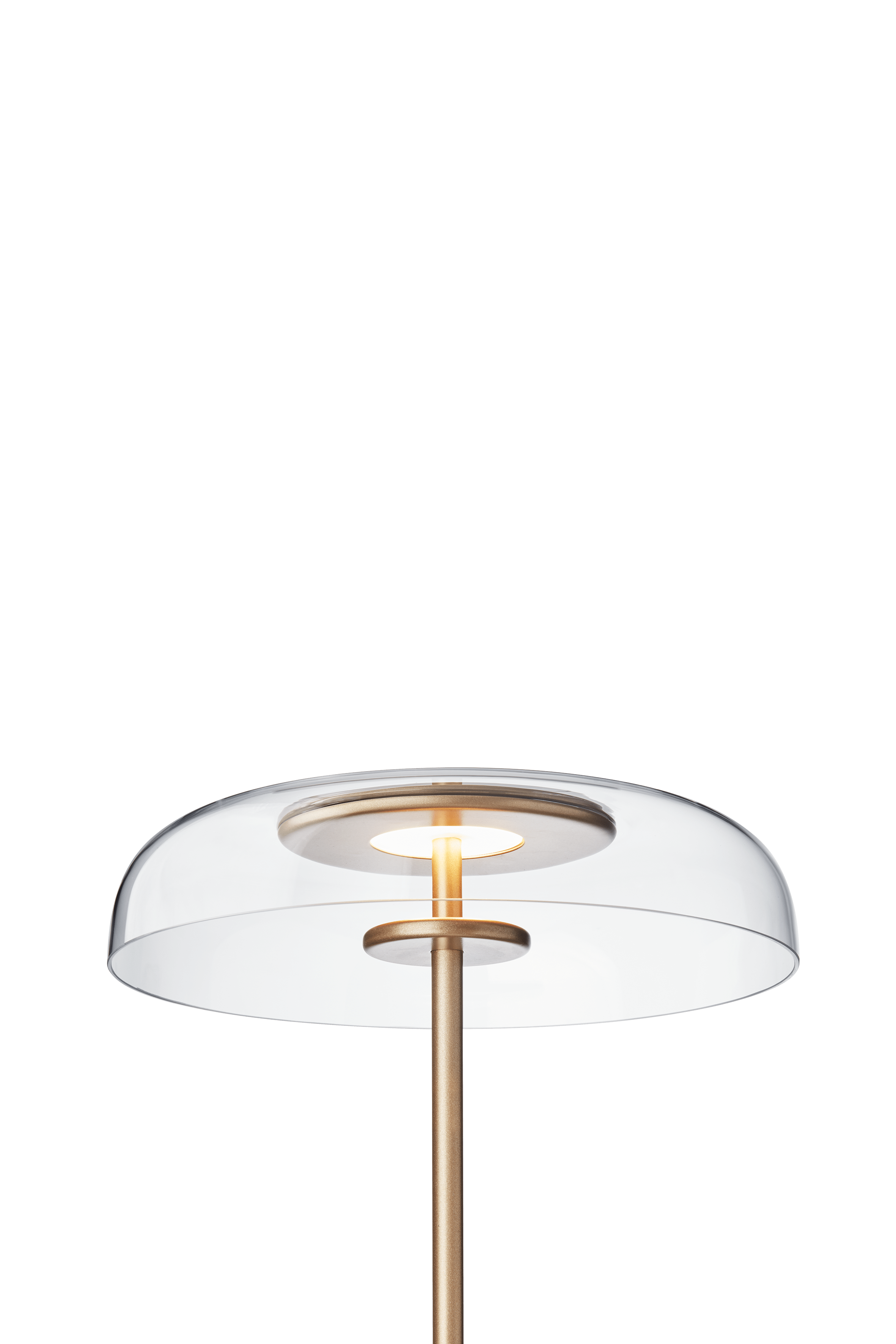 Vloerlamp BLOSSI goud met transparant glas