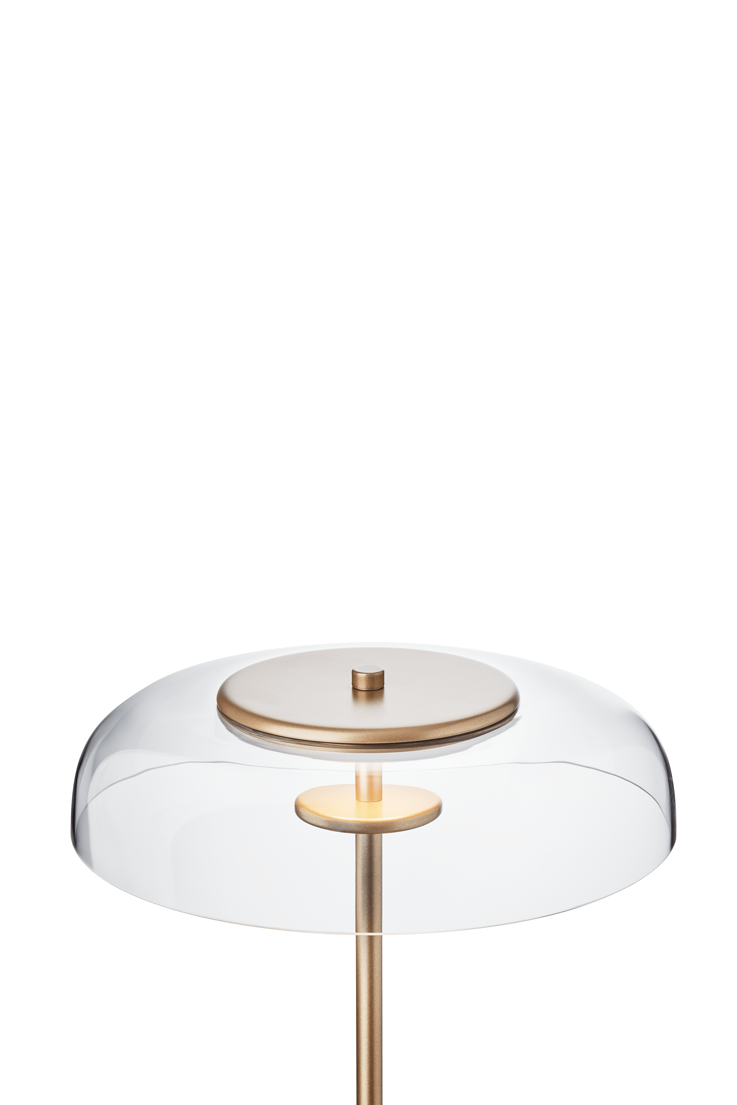 Vloerlamp BLOSSI goud met transparant glas