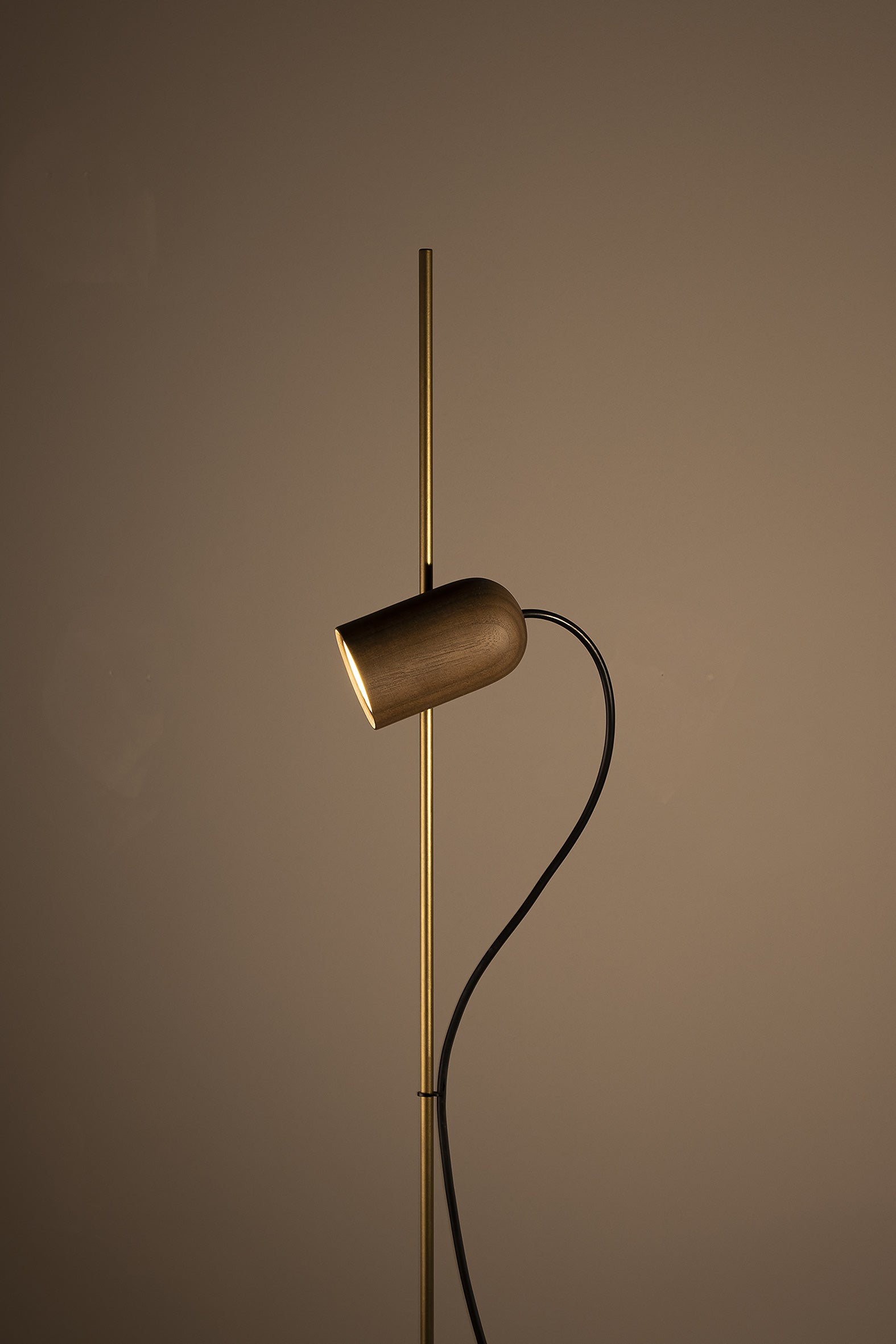 ONFA Walnut Wood Floor Lamp with Brass Finish