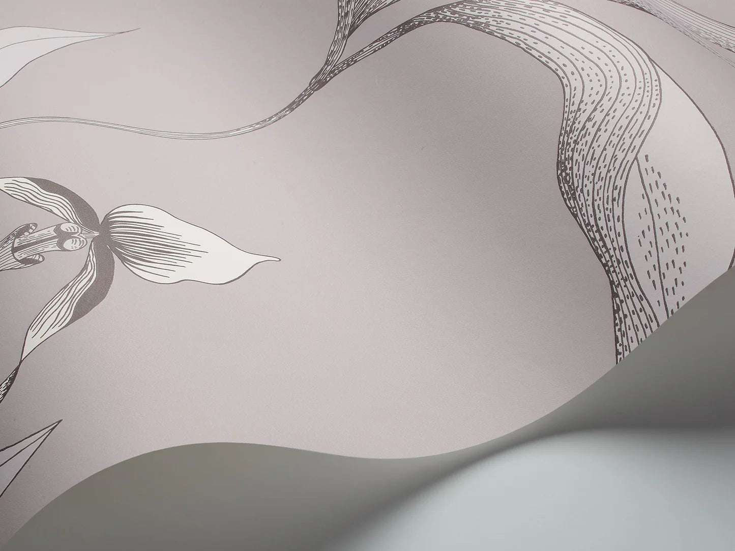 Wallpaper with a plant motif of orchid flowers CONTEMPORARY COLLECTION - ORCHID white with gray