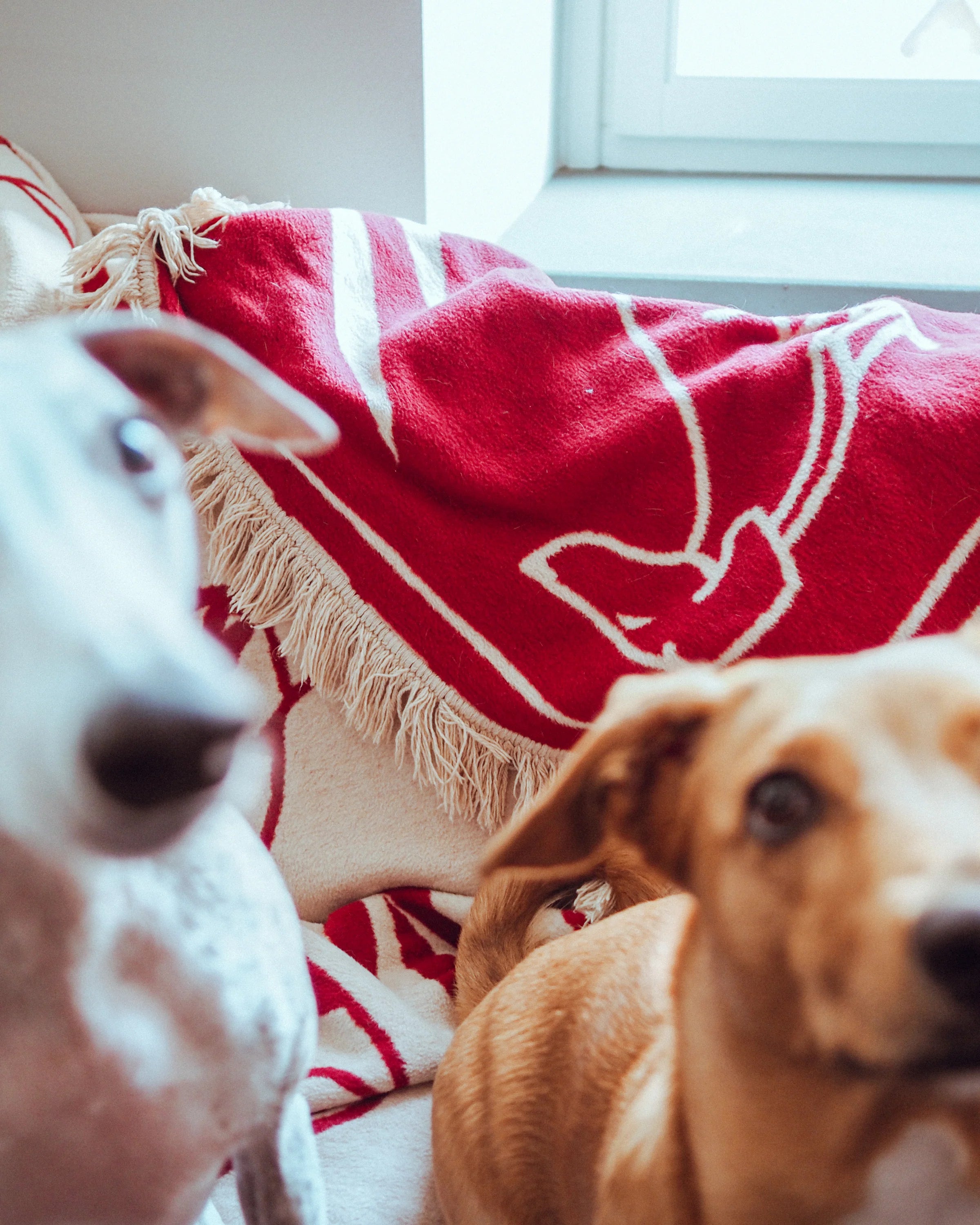 Koc PAWFECT zandbeige en bordeauxrood