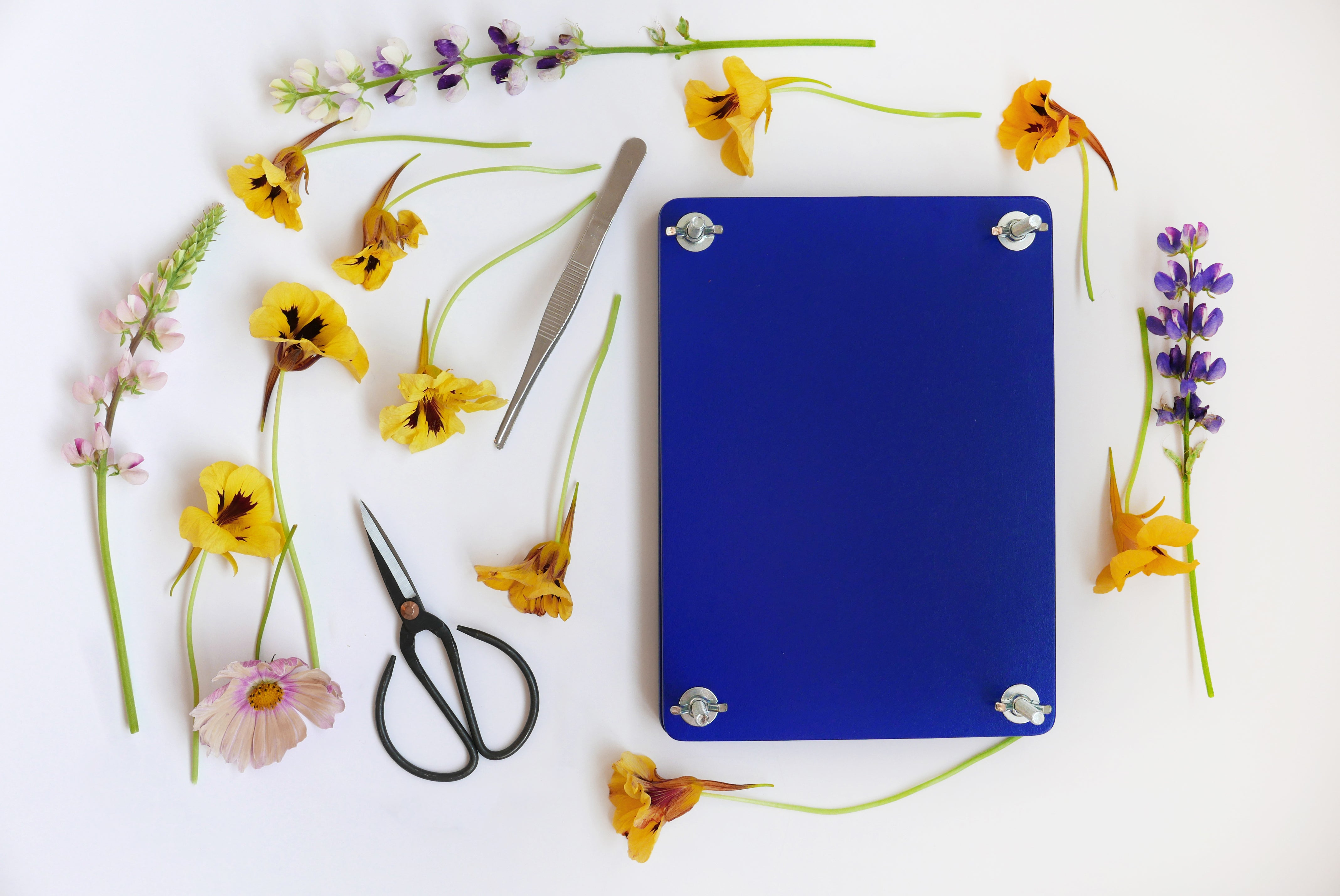 FLOWER PRESS SET Blue