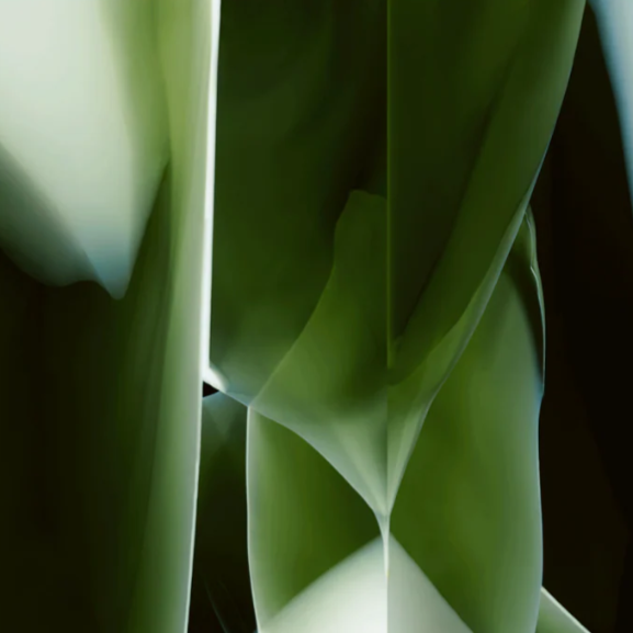 Teppich STUDIO NUCLEO grün