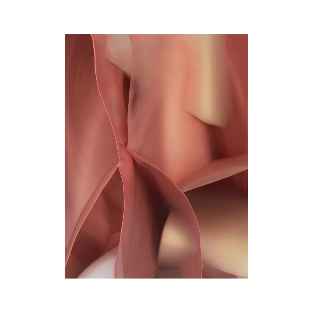 Vloerkleed STUDIO NUCLEO roze