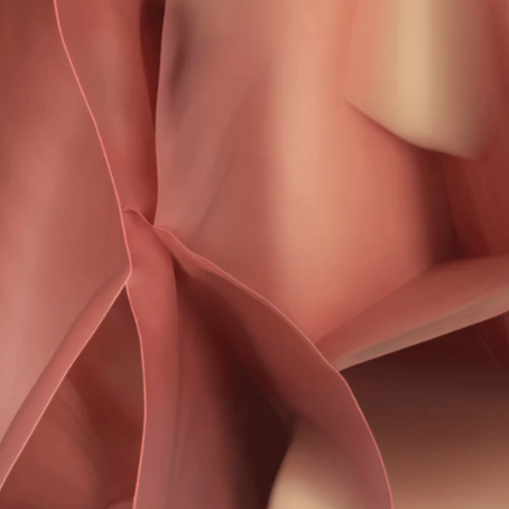 Vloerkleed STUDIO NUCLEO roze