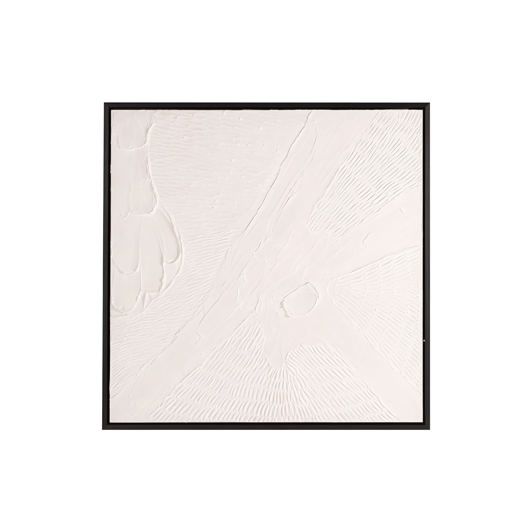 Schilderij JANEY gips met zwarte lijst
