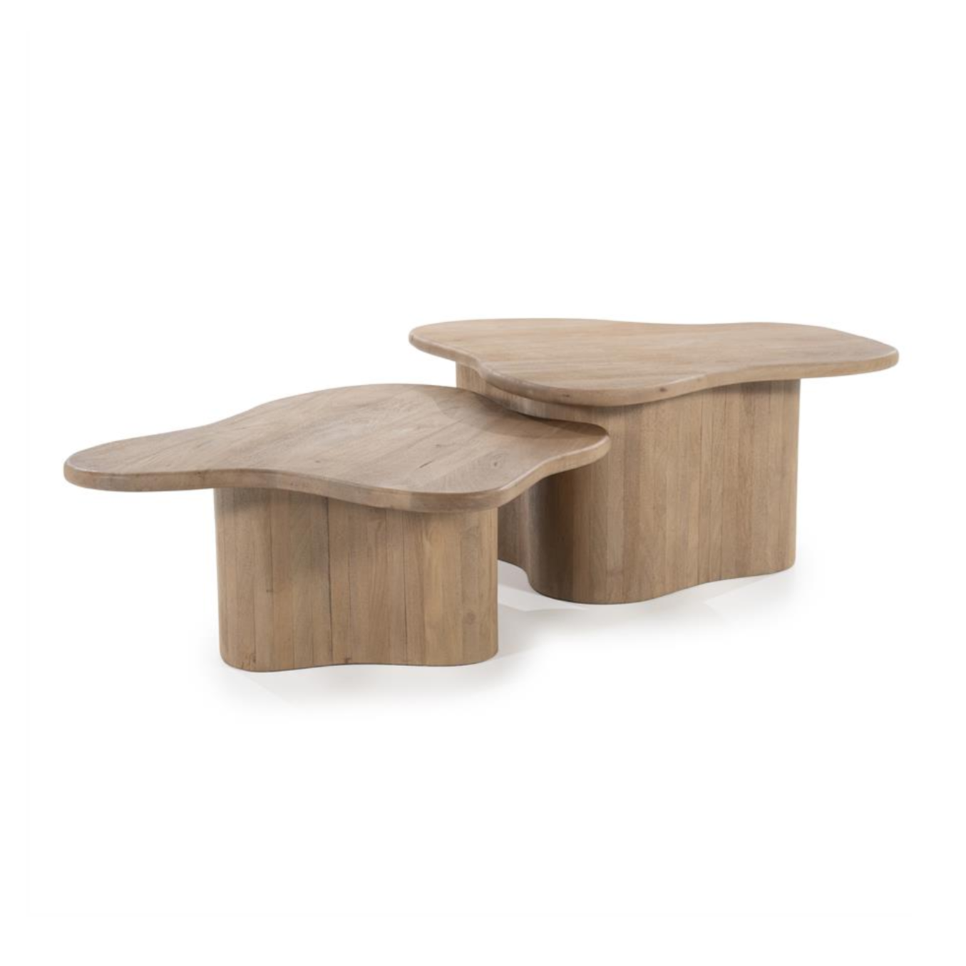 FALL mango wood coffee table set