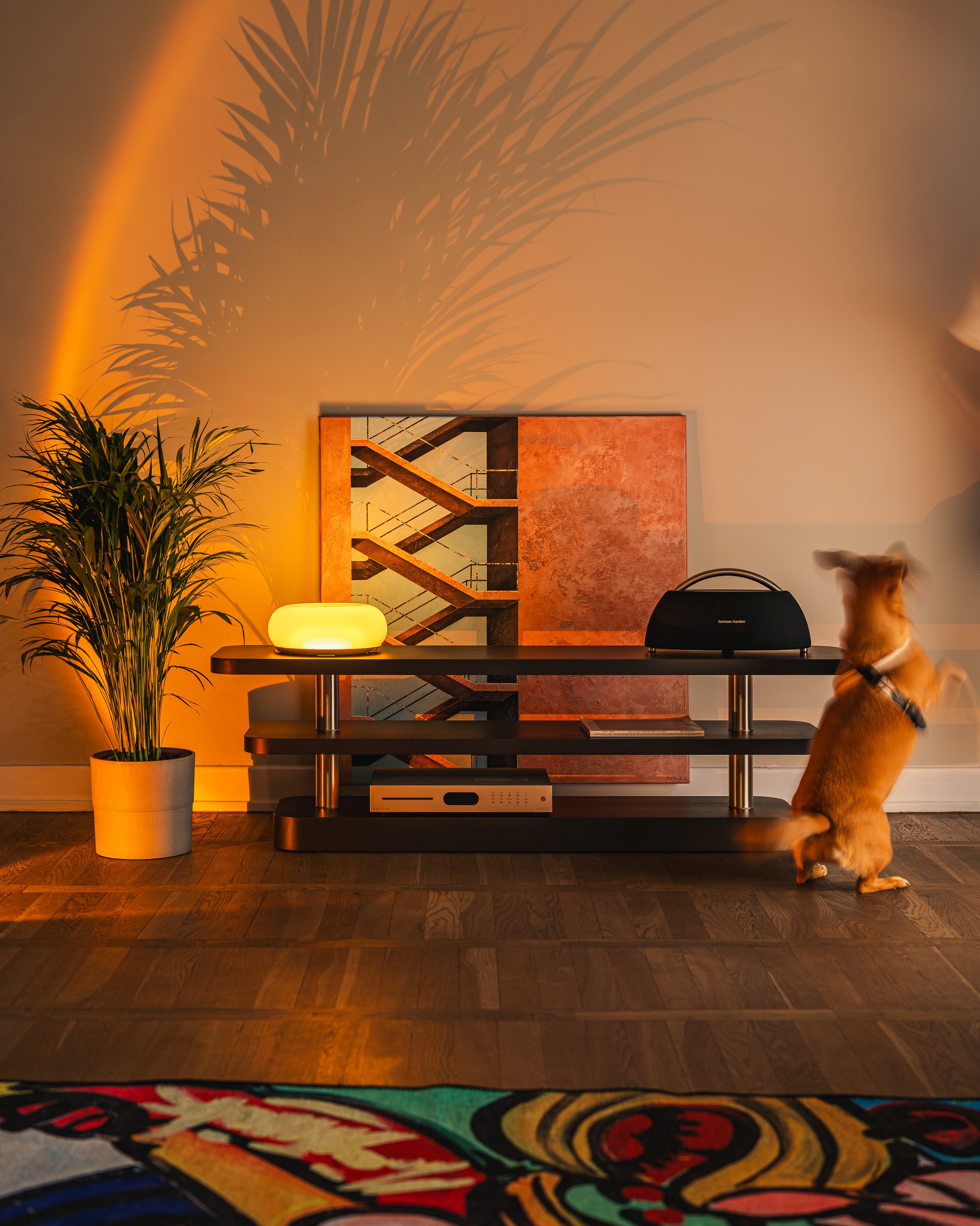 RTV-Schränke REL schwarz mit Furnier und Stahlelementen