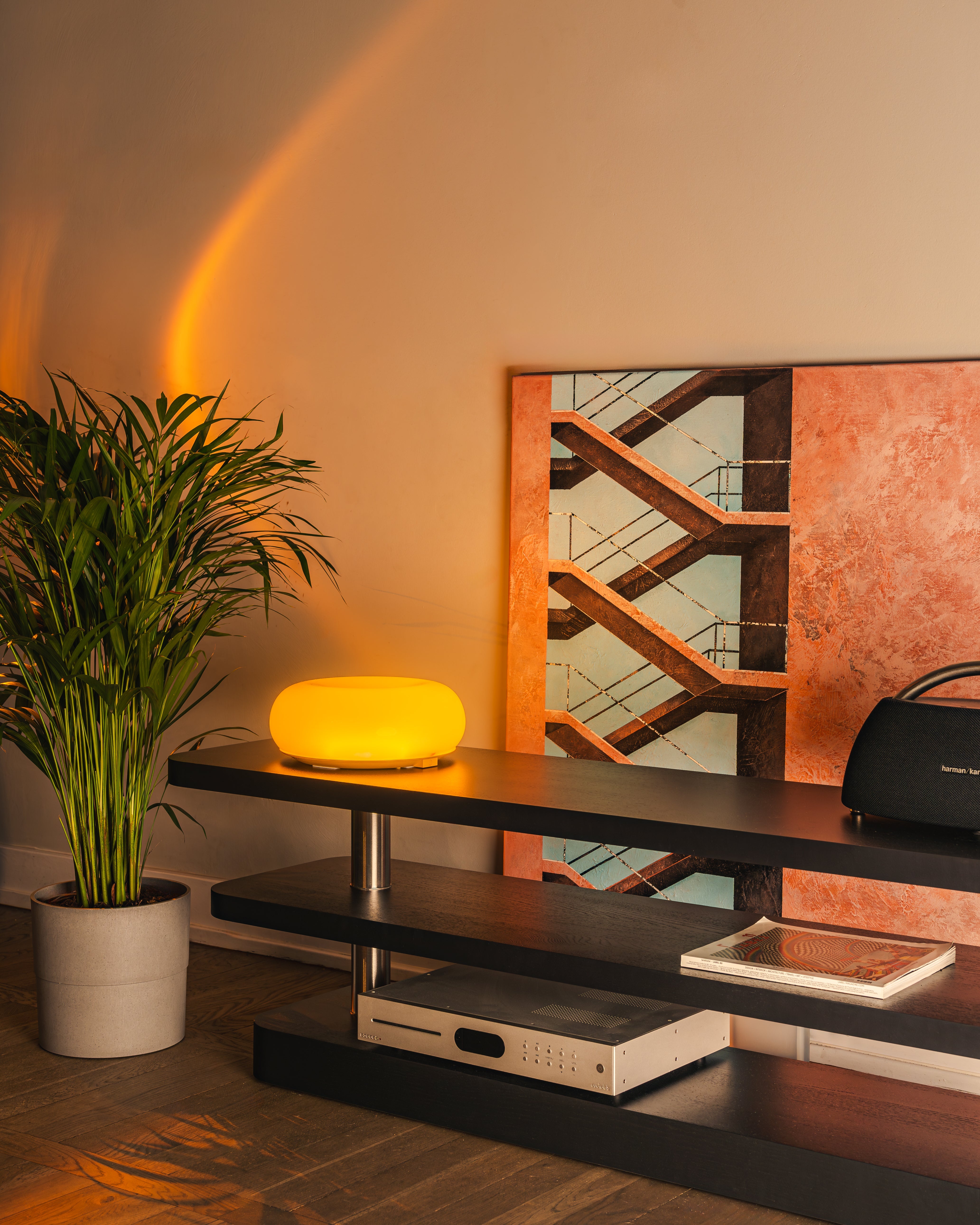 RTV-Schränke REL schwarz mit Furnier und Stahlelementen