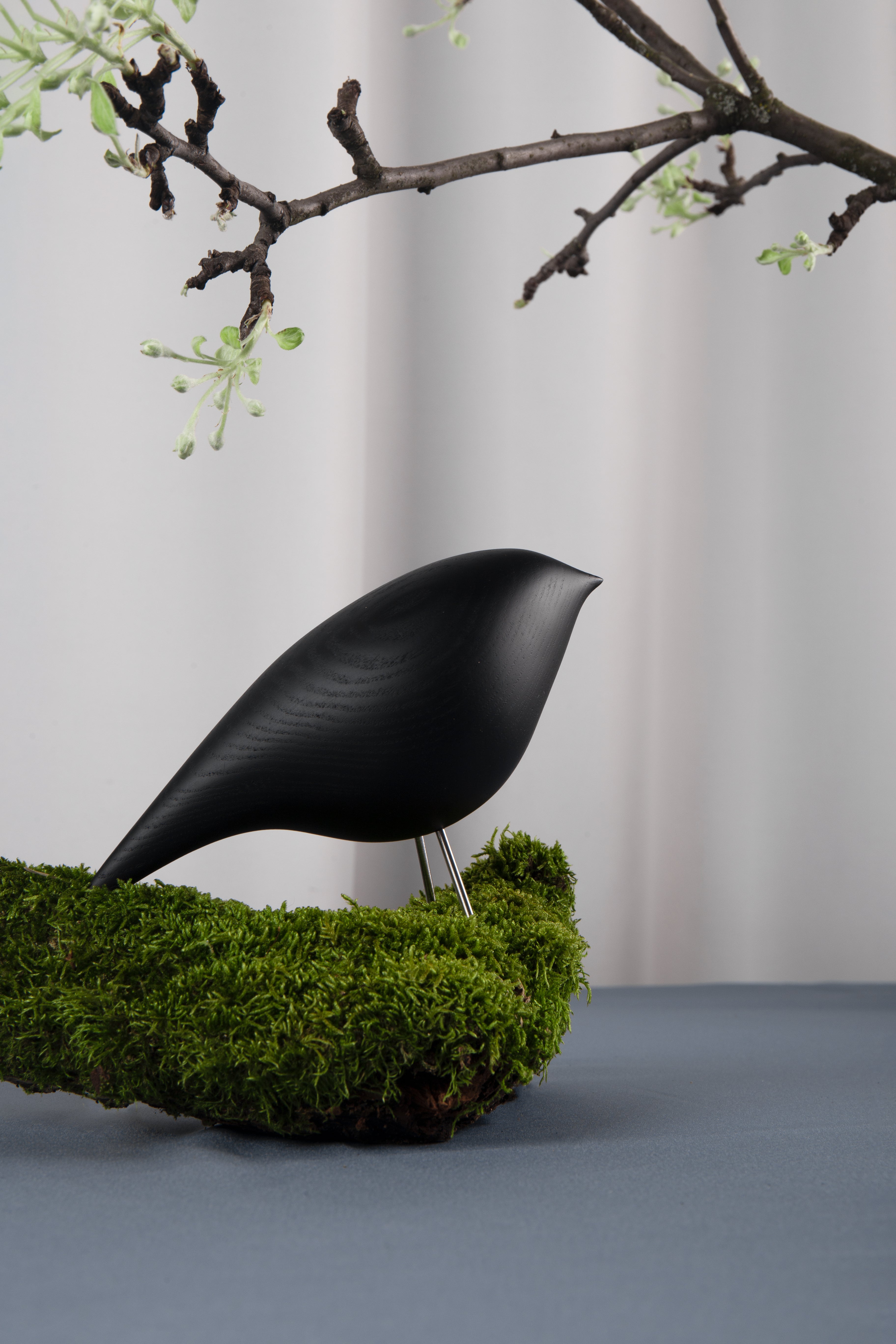 Dekorative Figur TWEETY DEKORATIVER VOGEL schwarzer Esche