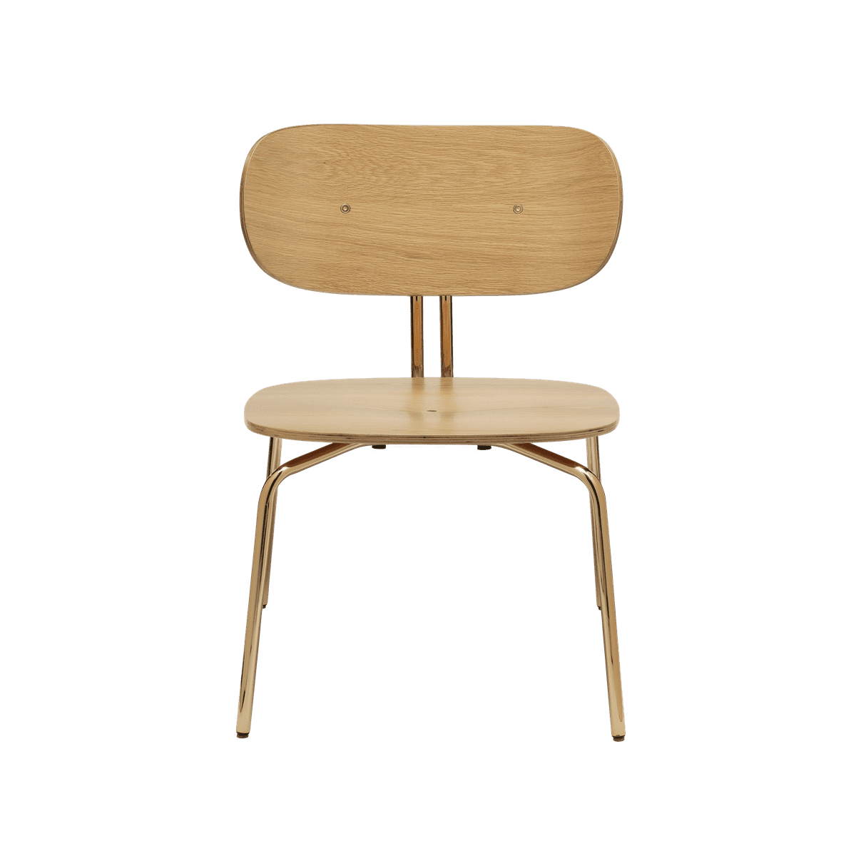 Neugieriger Eichenfurnier -Sessel mit einer goldenen Basis